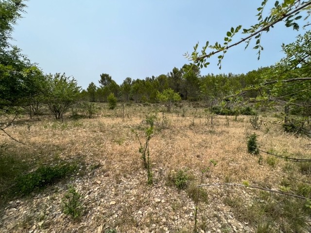 Vente Terrain à Félines-Minervois 0 pièce