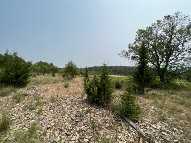 Vente Terrain à Félines-Minervois 0 pièce