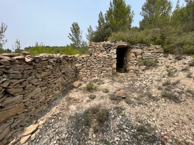 Vente Terrain à Félines-Minervois 0 pièce