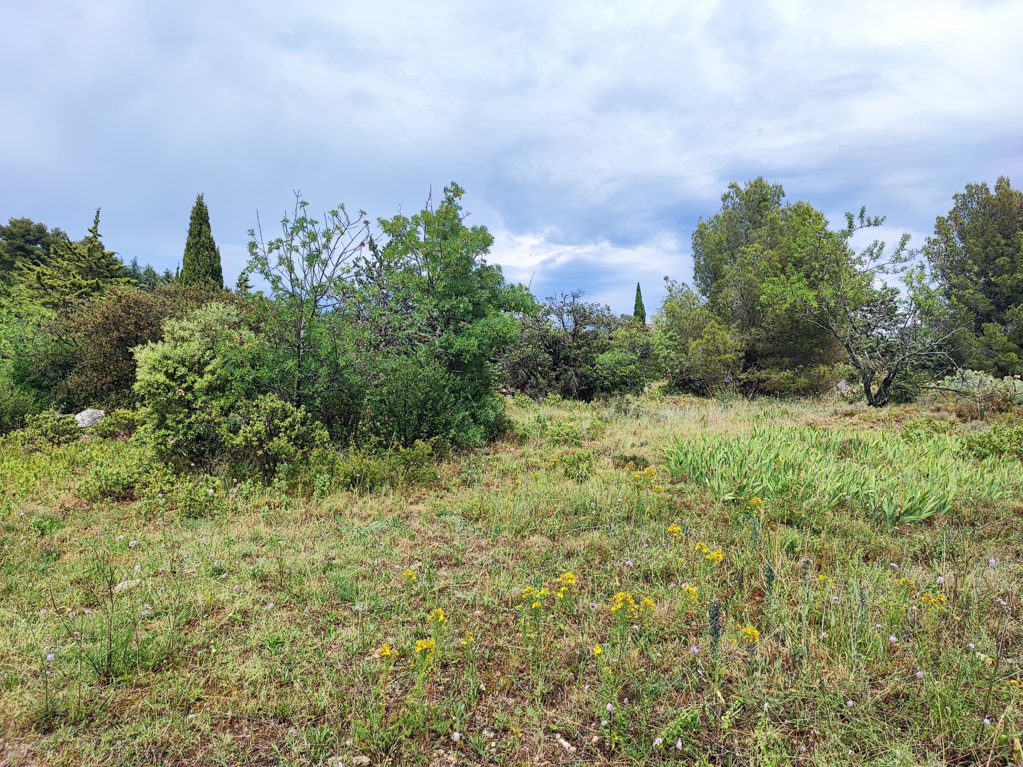 Vente Terrain à Félines-Minervois 0 pièce