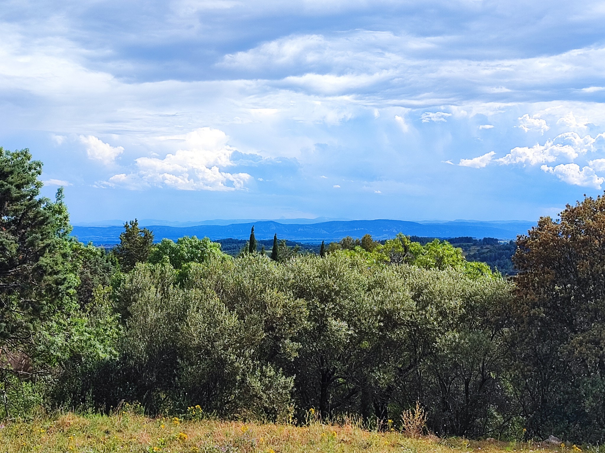 Vente Terrain à Félines-Minervois 0 pièce