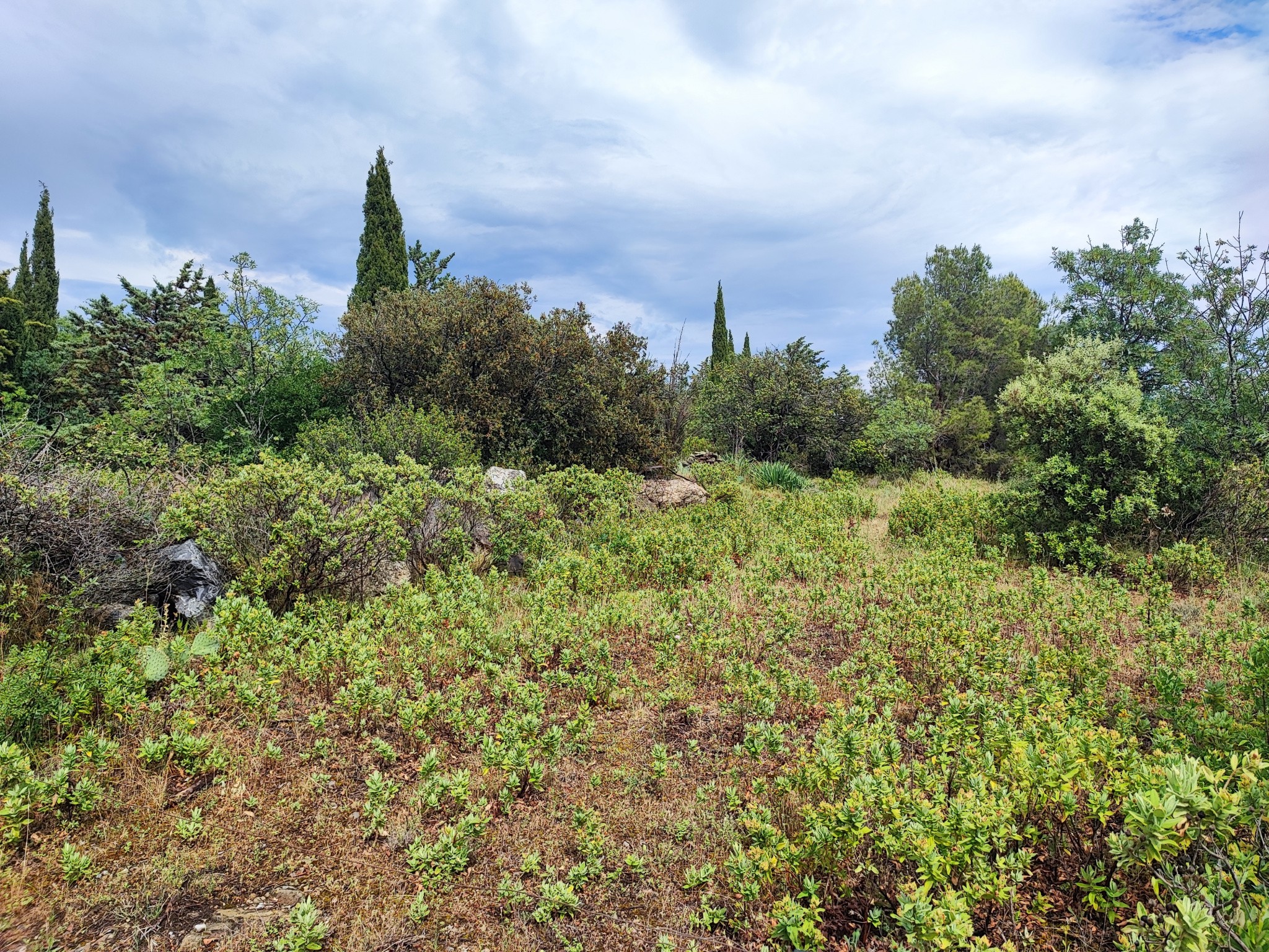 Vente Terrain à Félines-Minervois 0 pièce