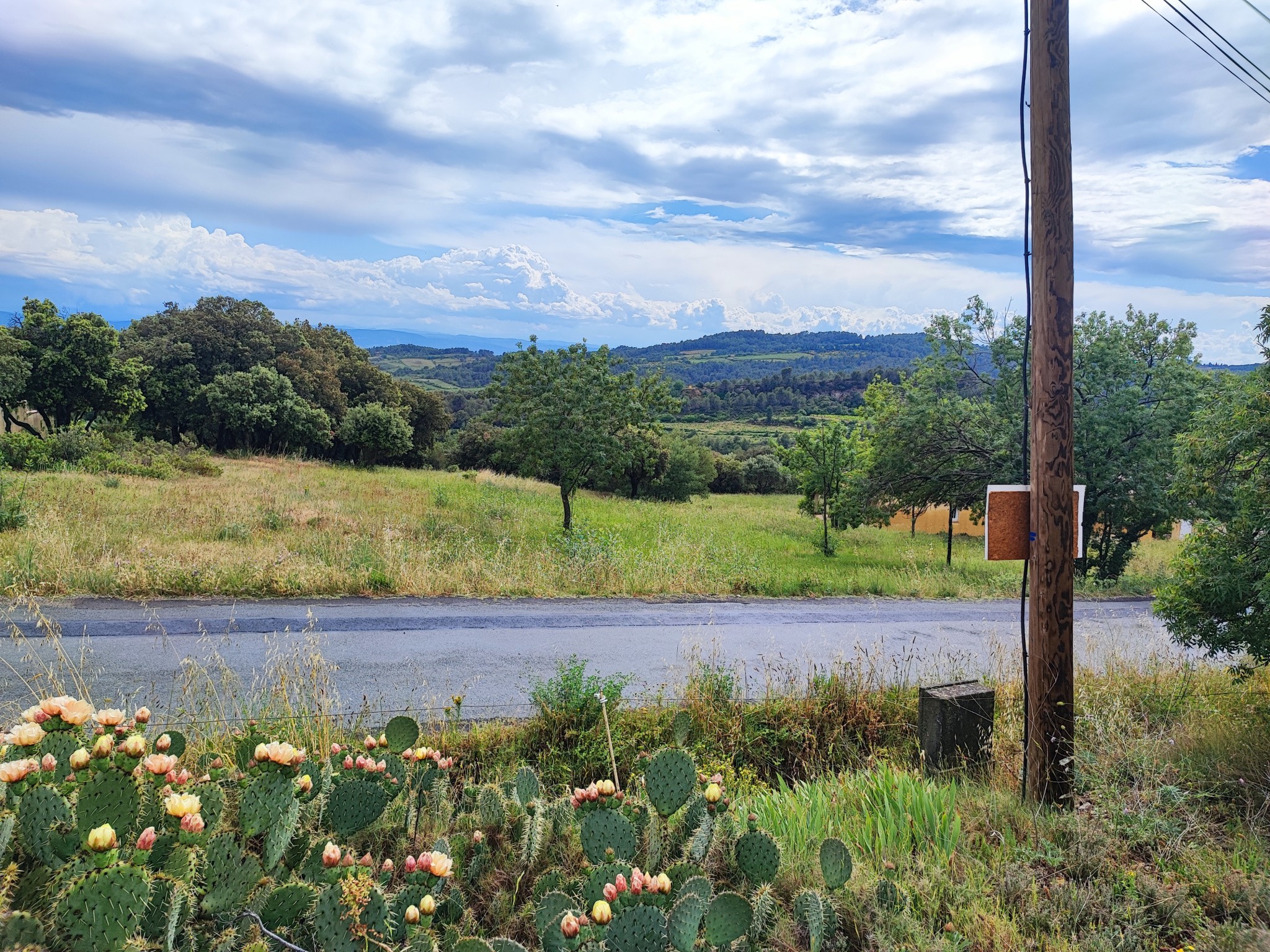 Vente Terrain à Félines-Minervois 0 pièce