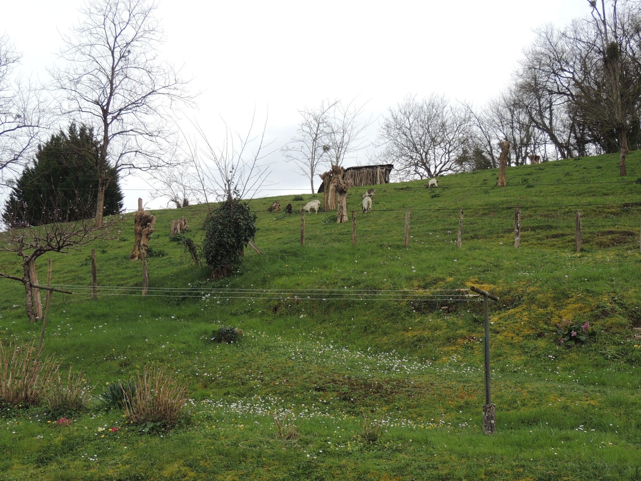 Vente Maison à Salies-de-Béarn 8 pièces