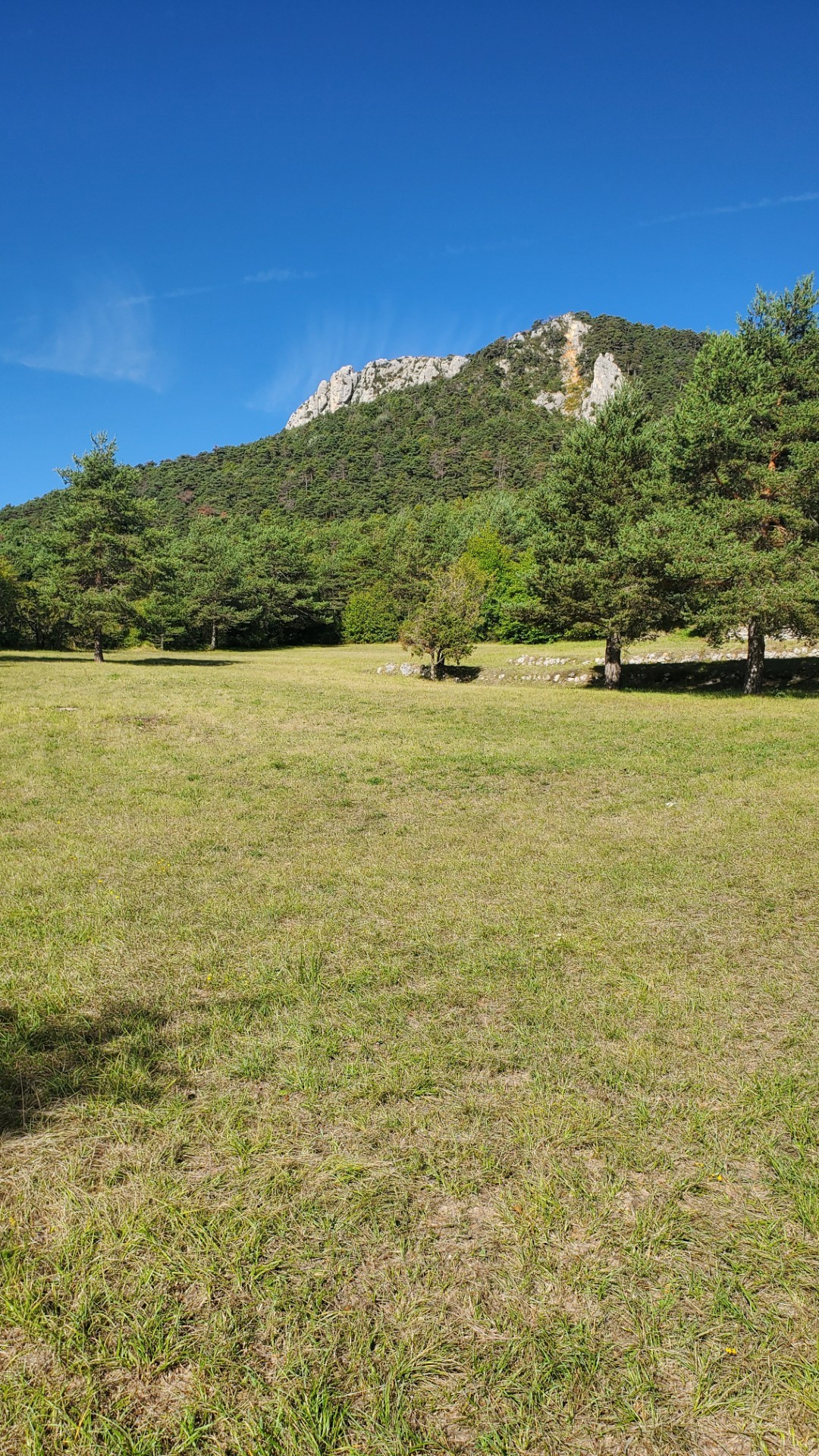 Vente Terrain à Séranon 1 pièce