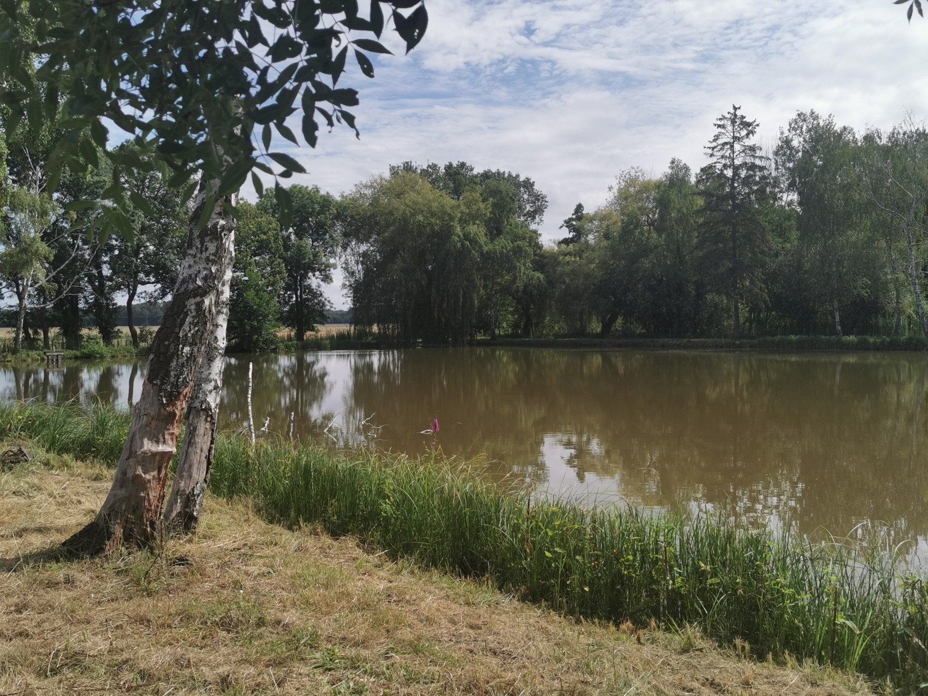 Vente Terrain à Chabris 0 pièce