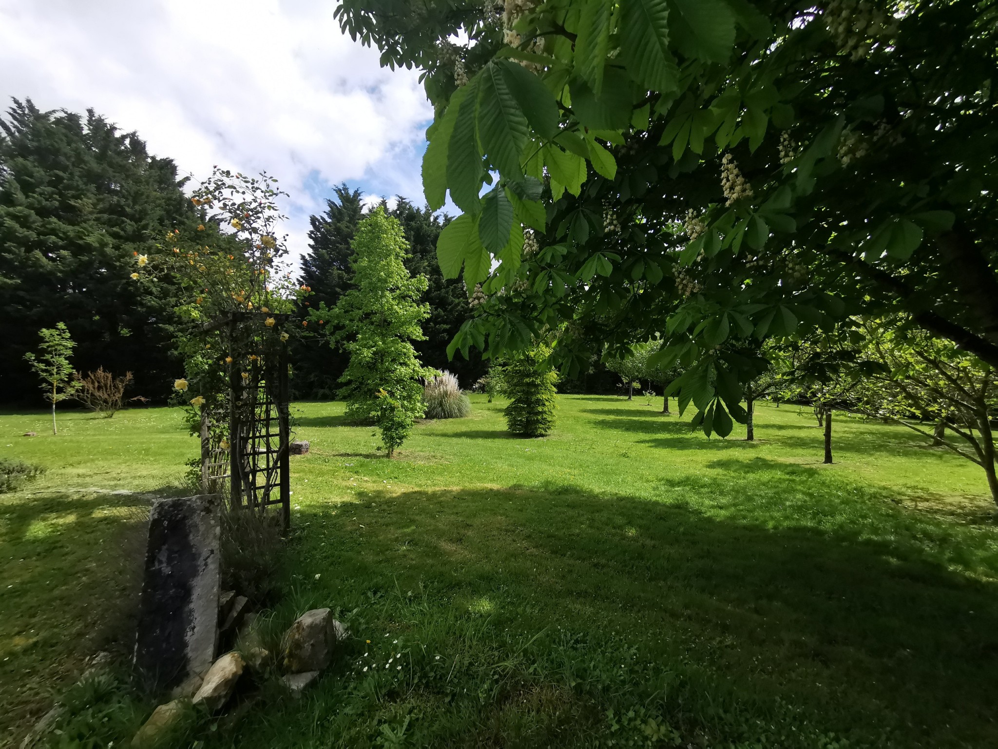 Vente Maison à Saint-Julien-sur-Cher 10 pièces