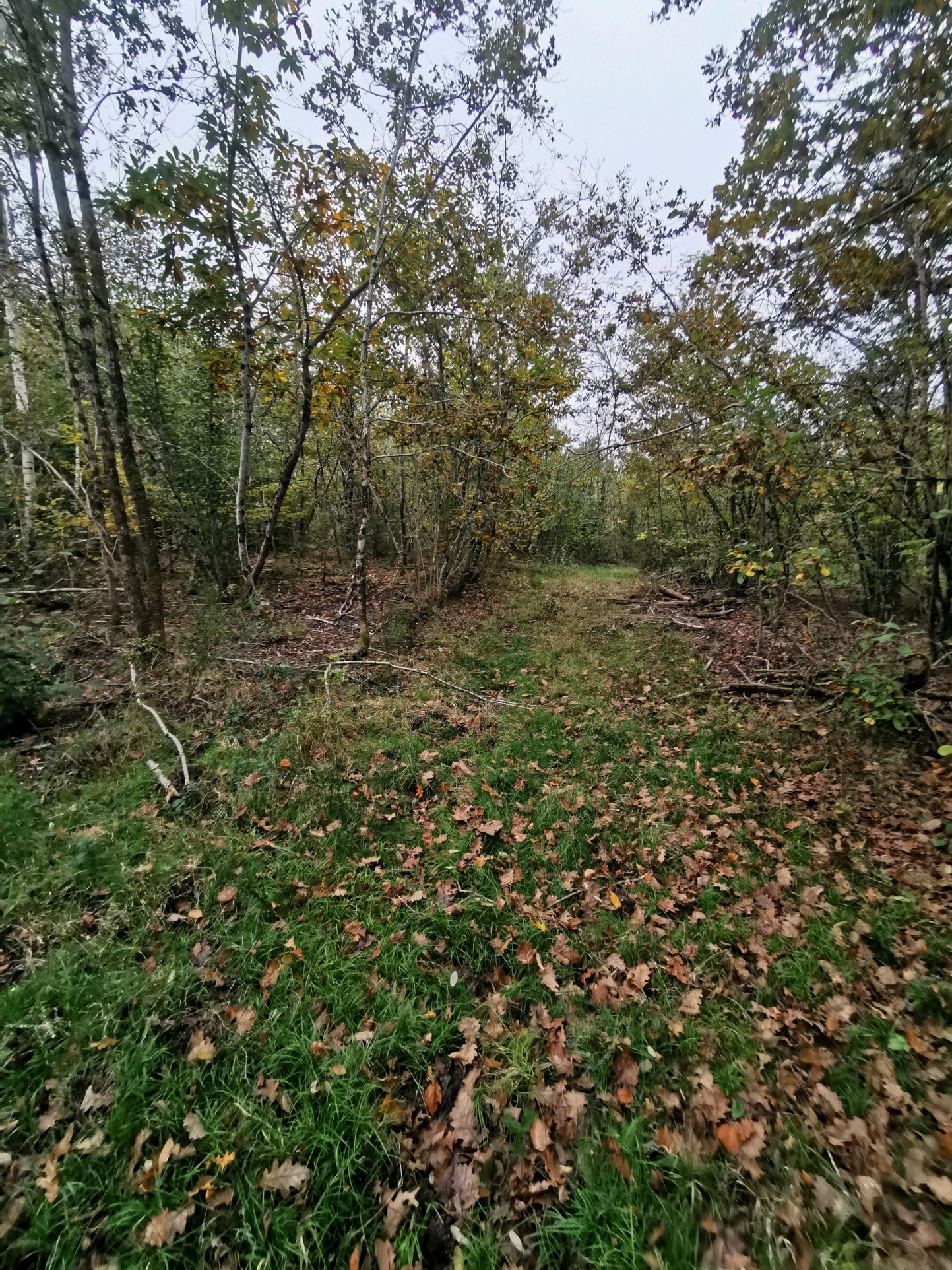 Vente Terrain à Gièvres 0 pièce