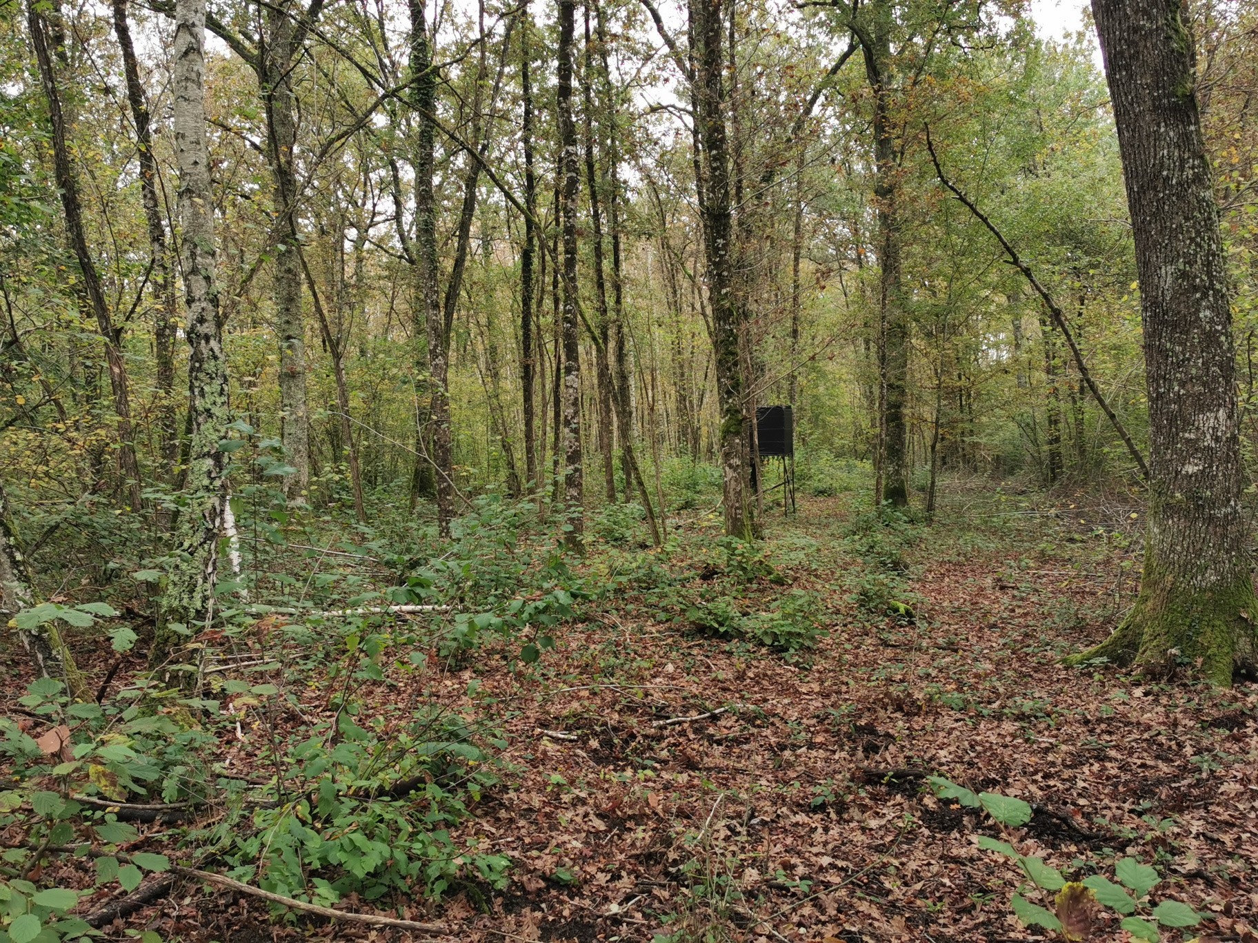 Vente Terrain à Gièvres 0 pièce