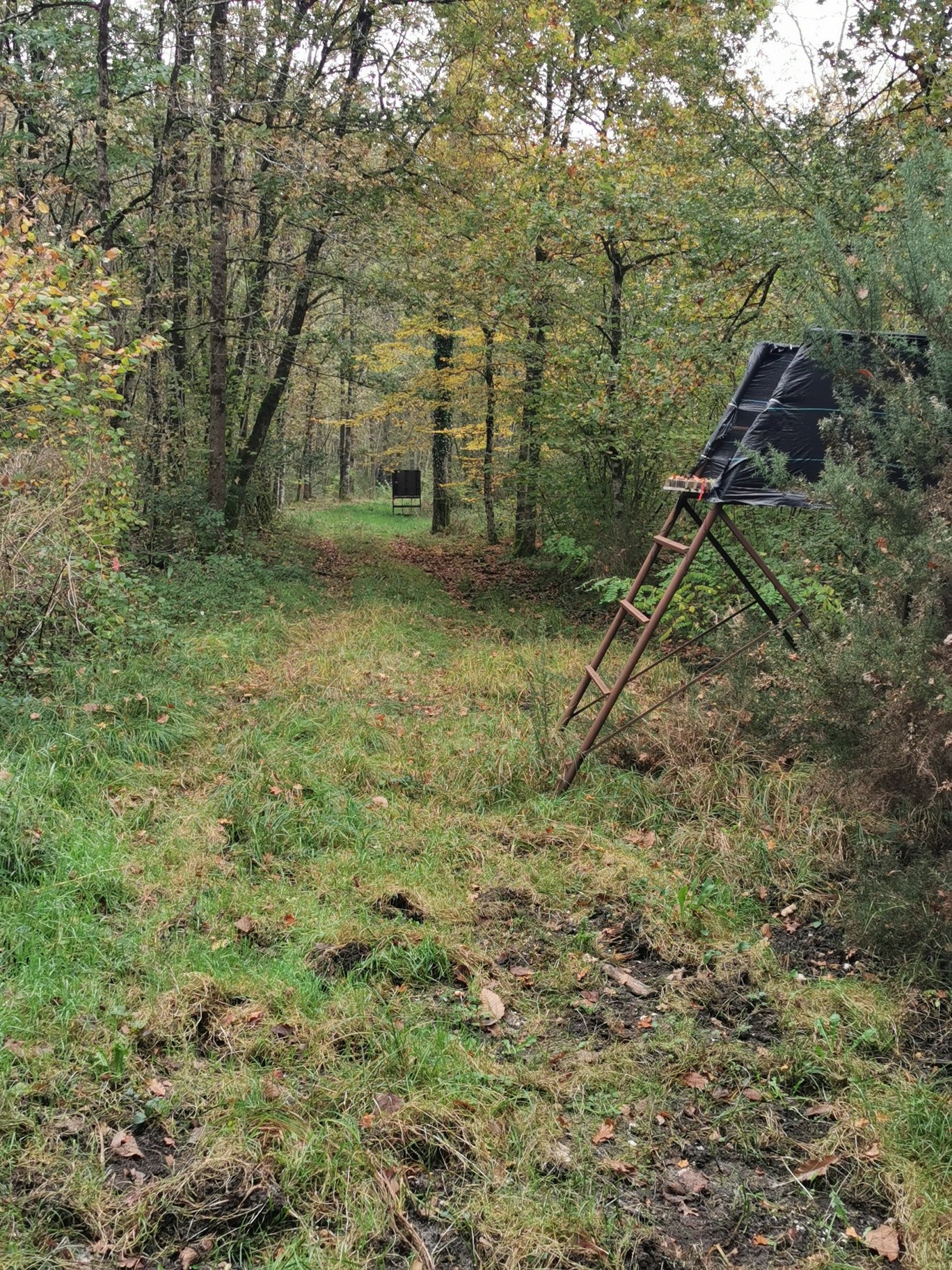 Vente Terrain à Gièvres 0 pièce