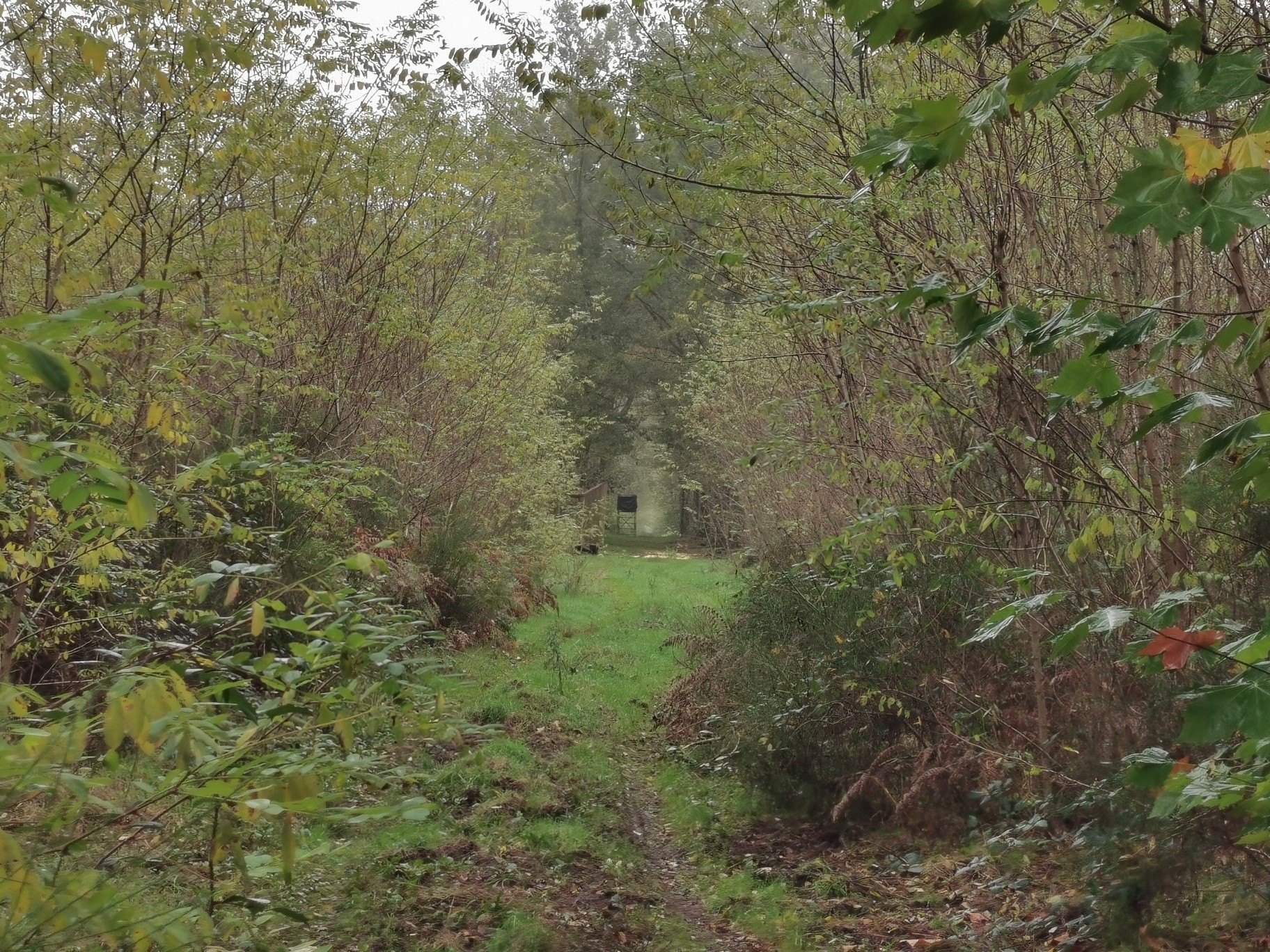 Vente Terrain à Gièvres 0 pièce