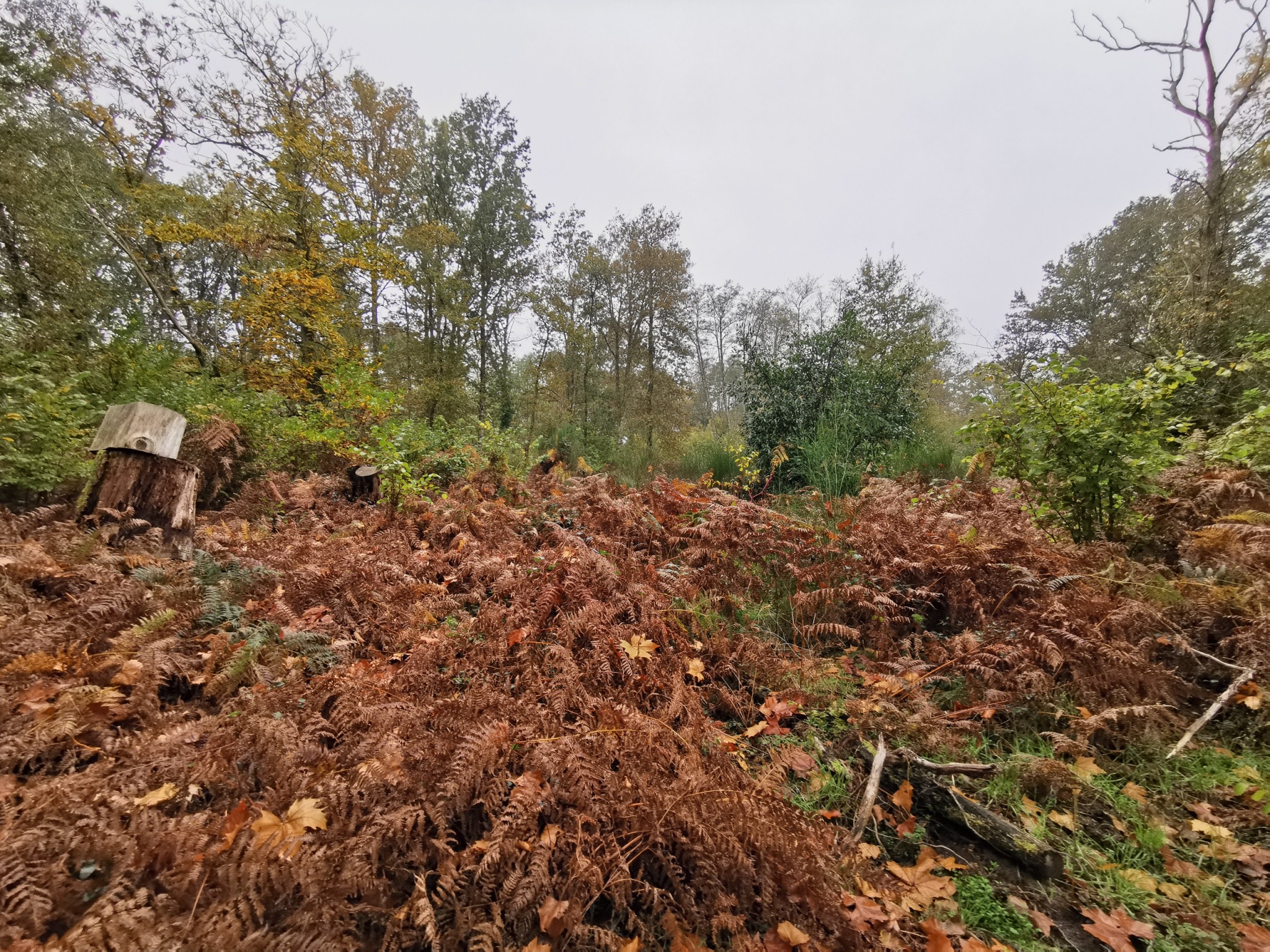 Vente Terrain à Gièvres 0 pièce