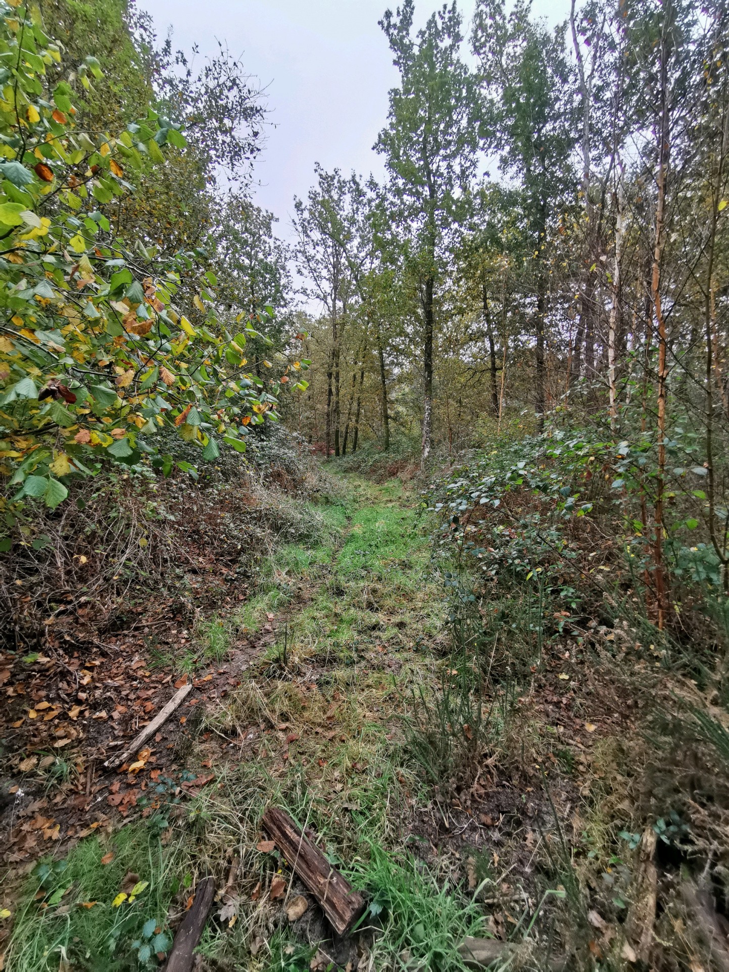 Vente Terrain à Gièvres 0 pièce