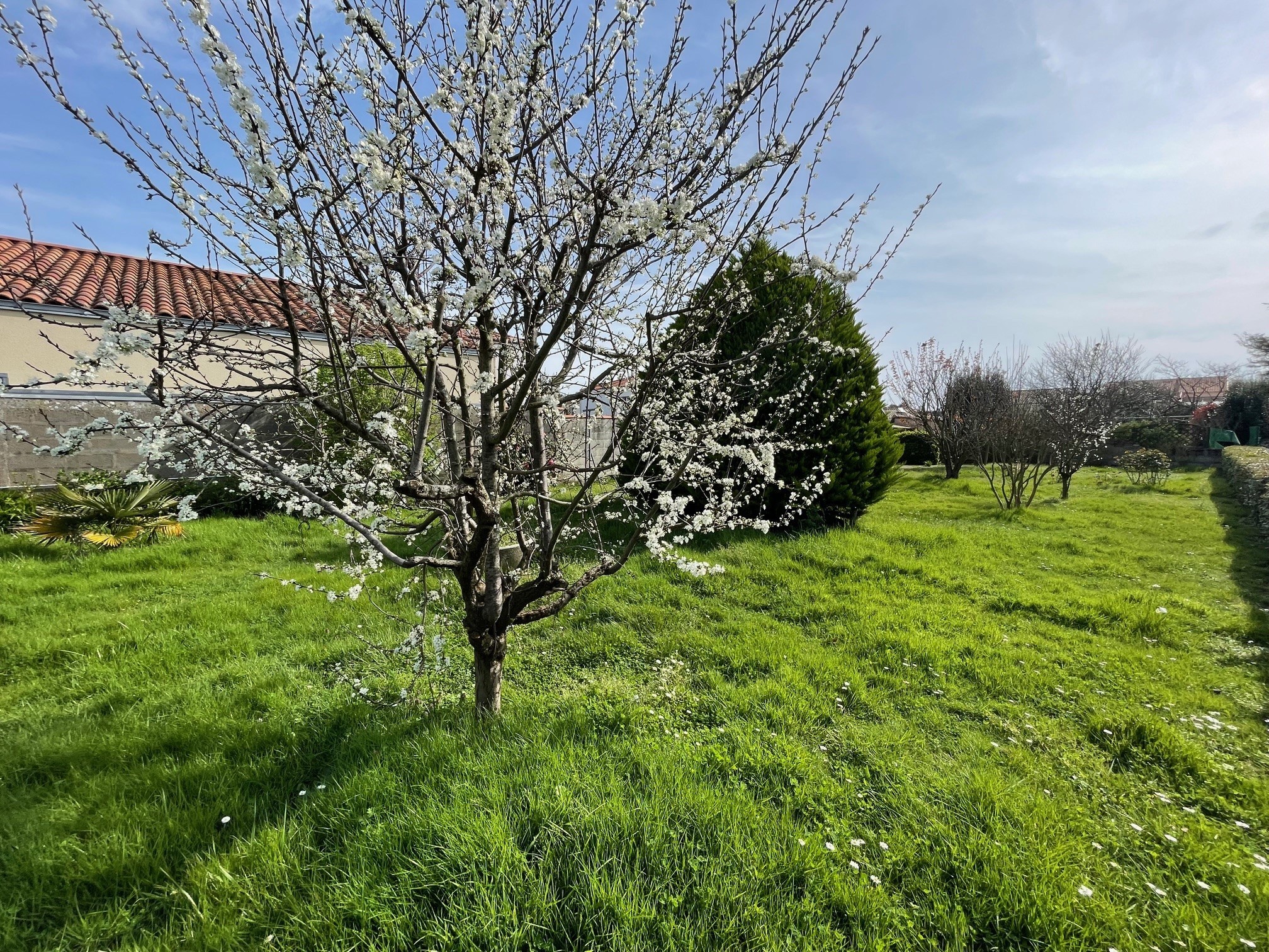 Vente Maison à Château-d'Olonne 4 pièces