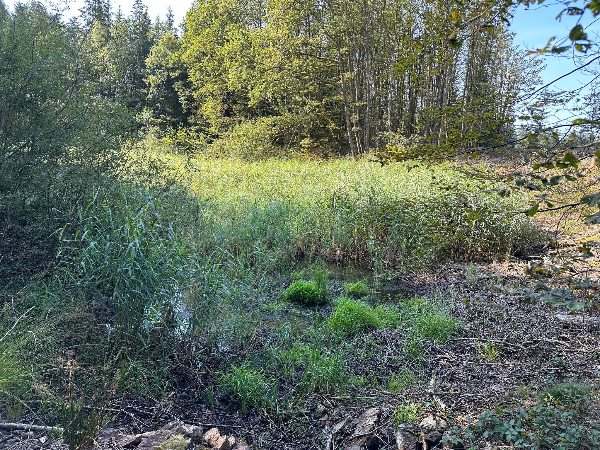 Vente Terrain à Faucogney-et-la-Mer 0 pièce