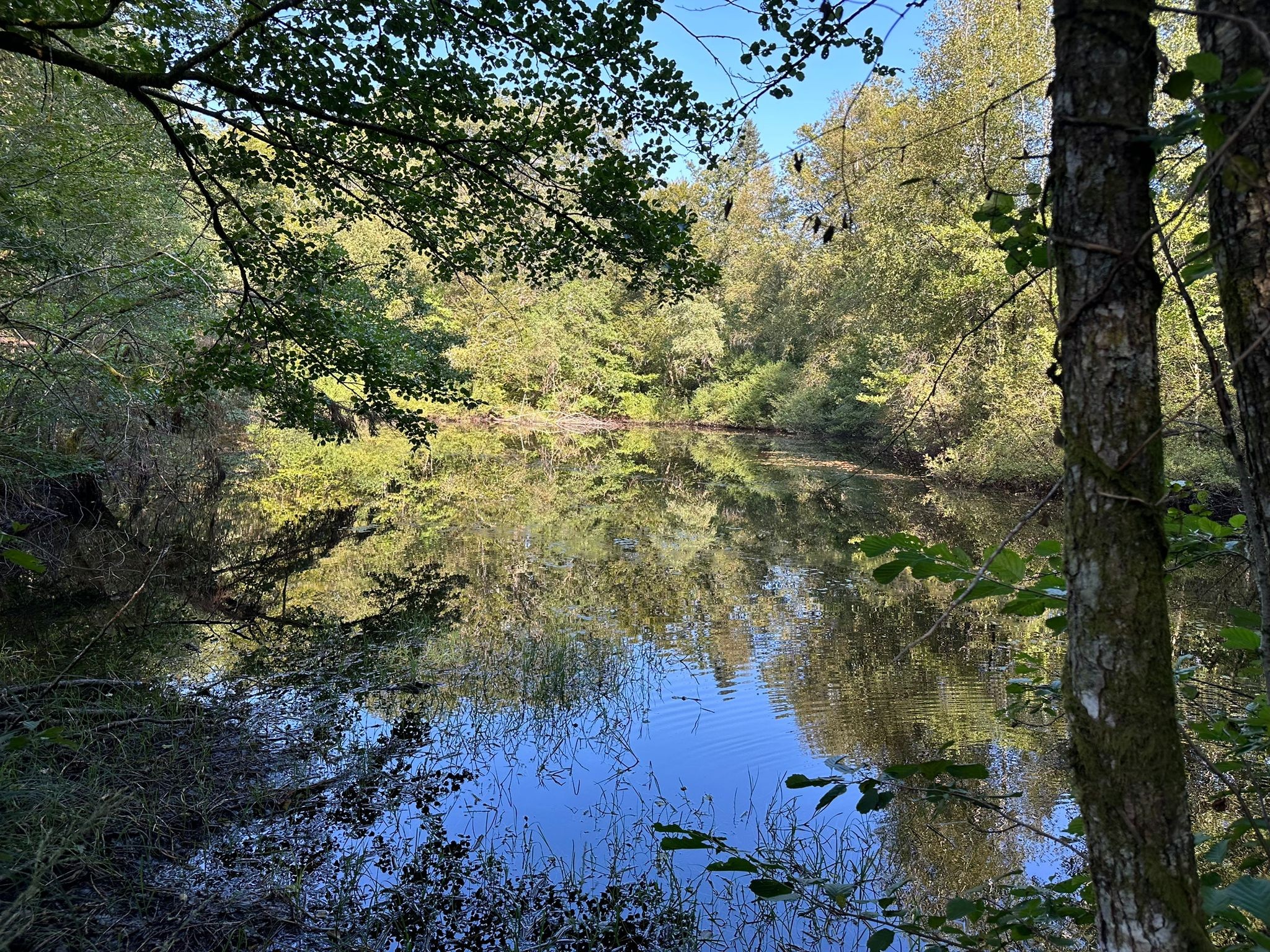 Vente Terrain à Faucogney-et-la-Mer 0 pièce