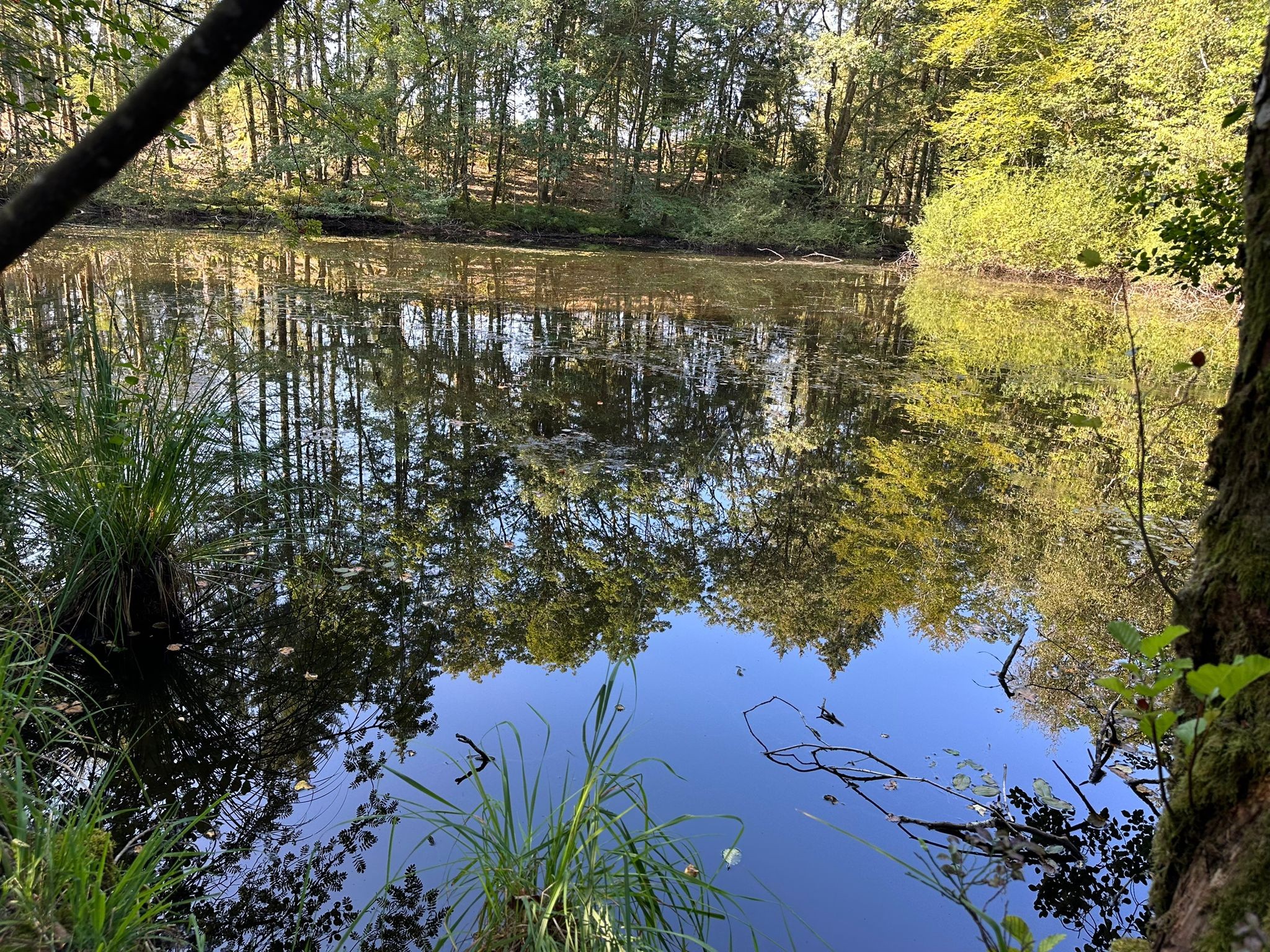 Vente Terrain à Faucogney-et-la-Mer 0 pièce