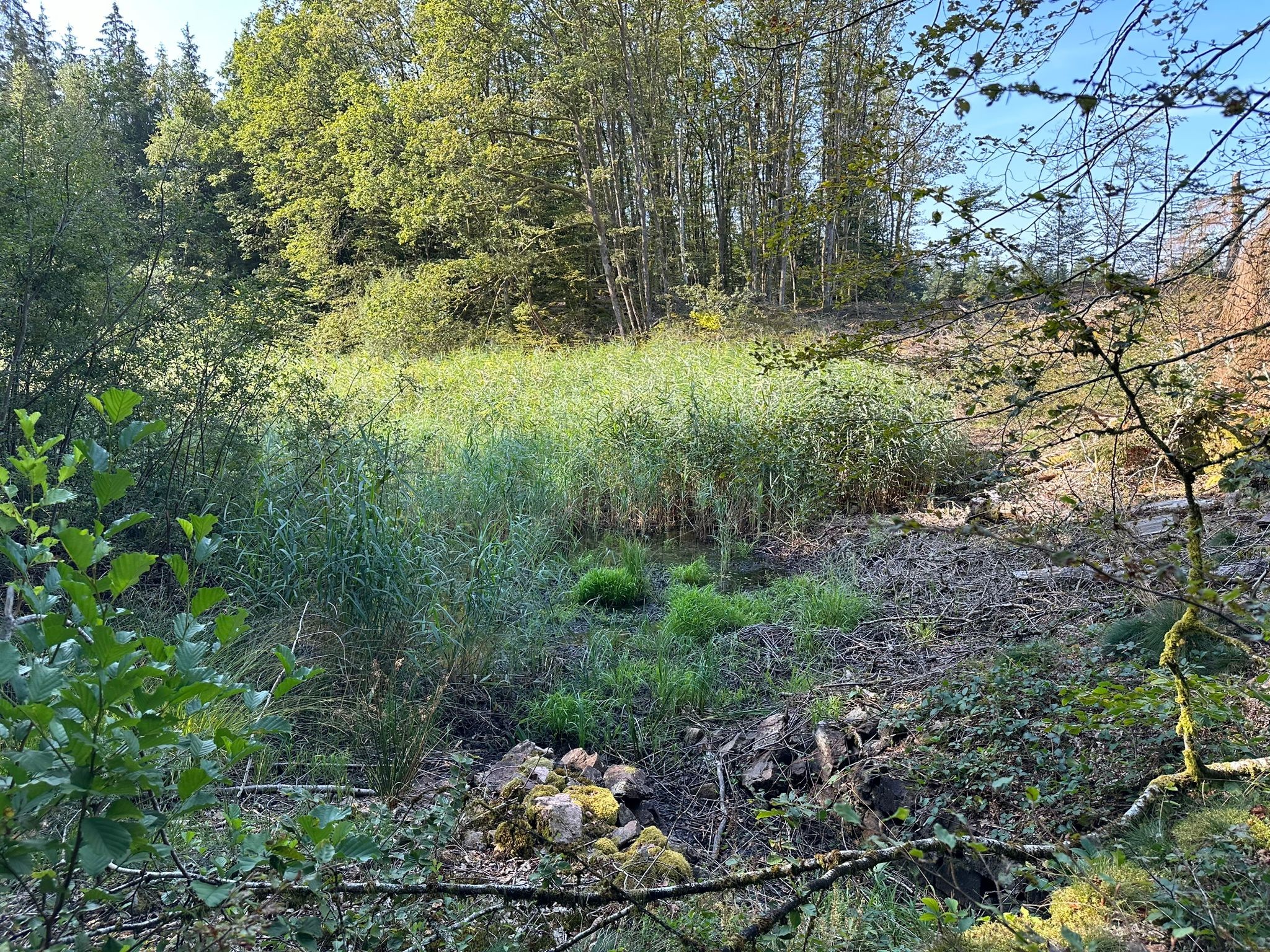 Vente Terrain à Faucogney-et-la-Mer 0 pièce