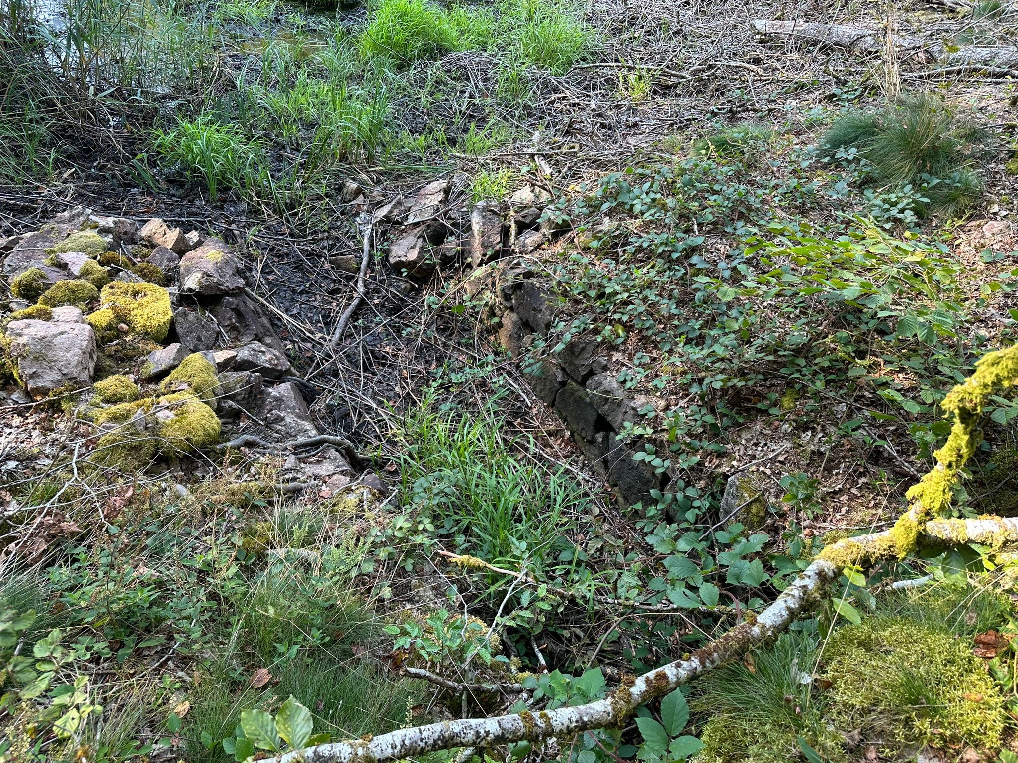 Vente Terrain à Faucogney-et-la-Mer 0 pièce