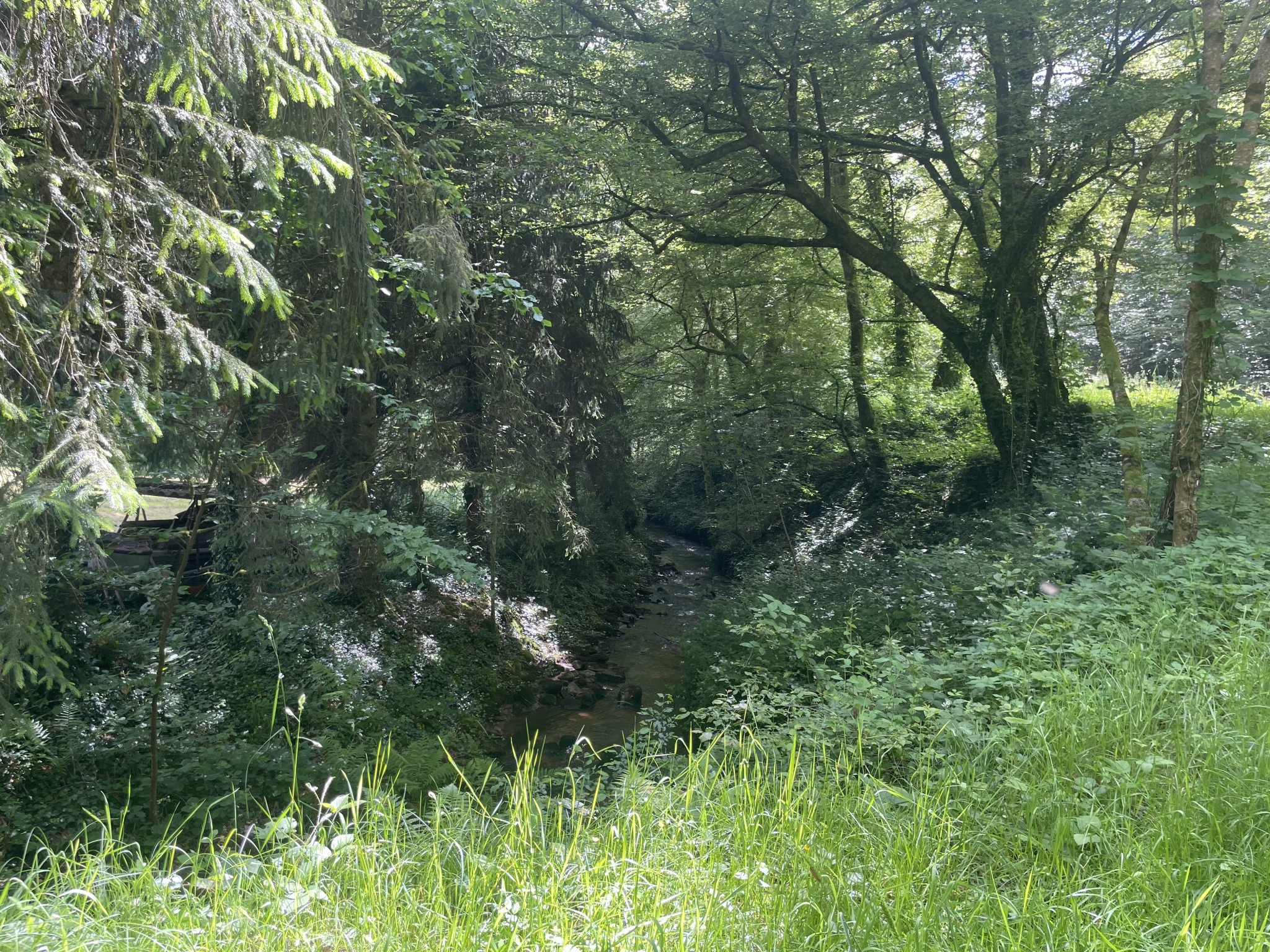 Vente Terrain à Lomont 1 pièce