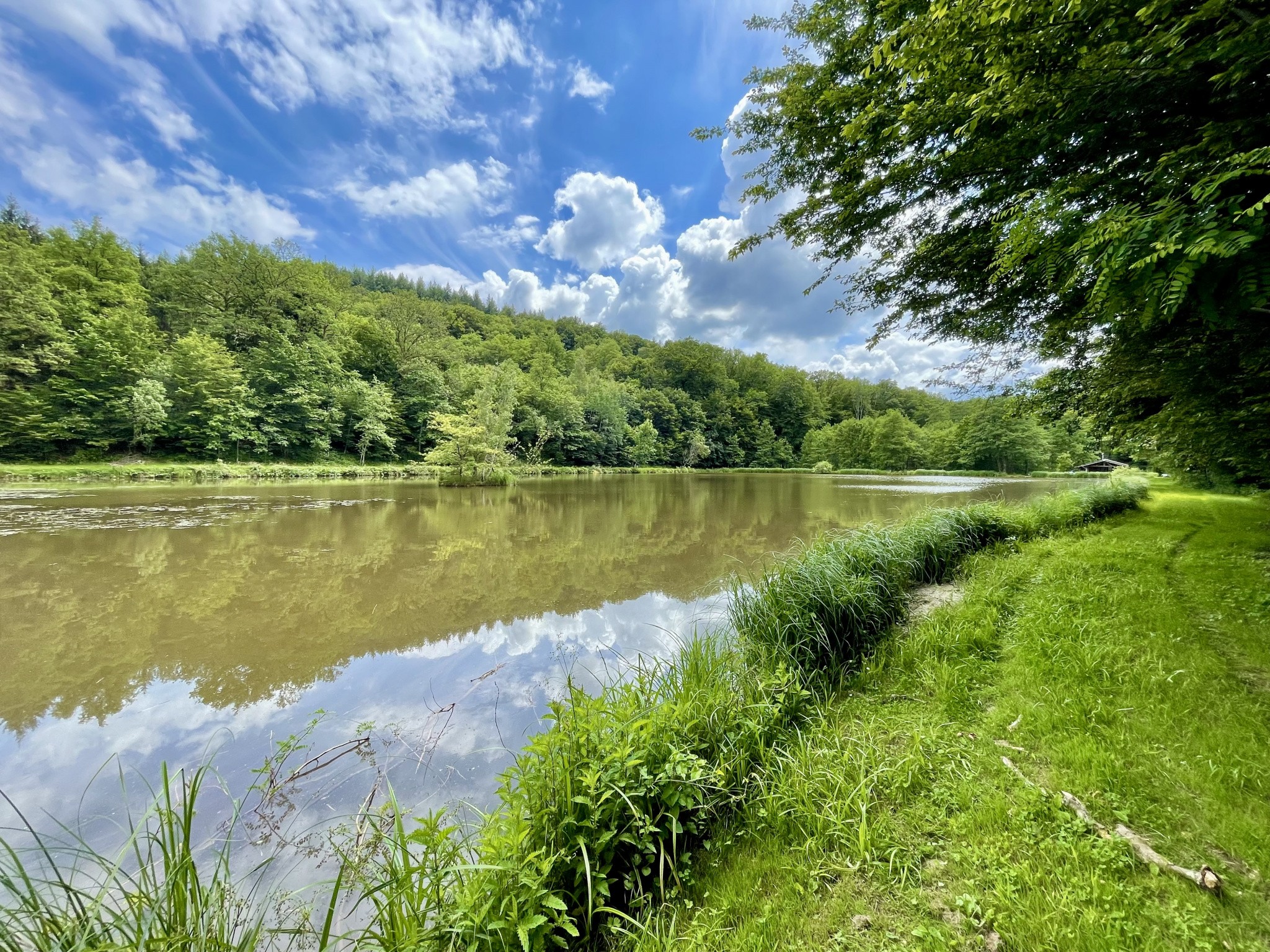 Vente Terrain à Lomont 1 pièce