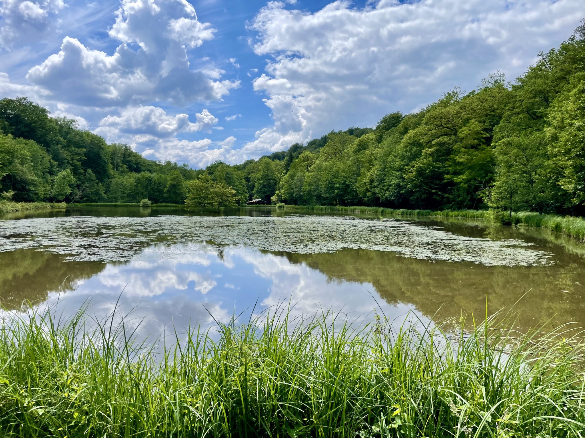 Vente Terrain à Lomont 1 pièce