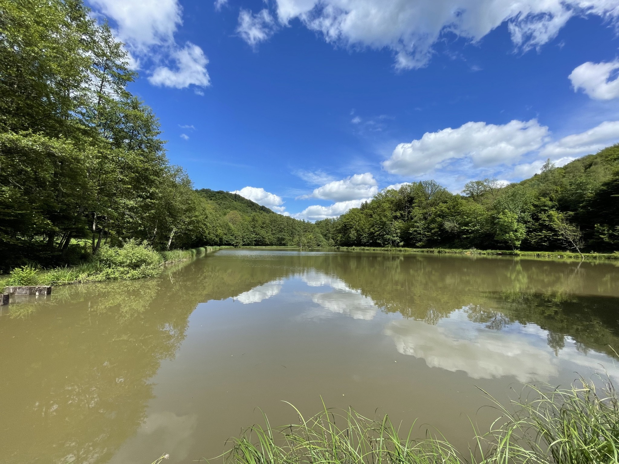 Vente Terrain à Lomont 1 pièce