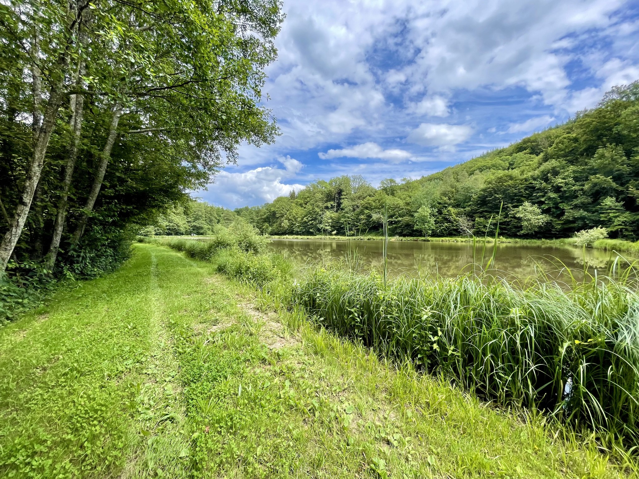 Vente Terrain à Lomont 1 pièce