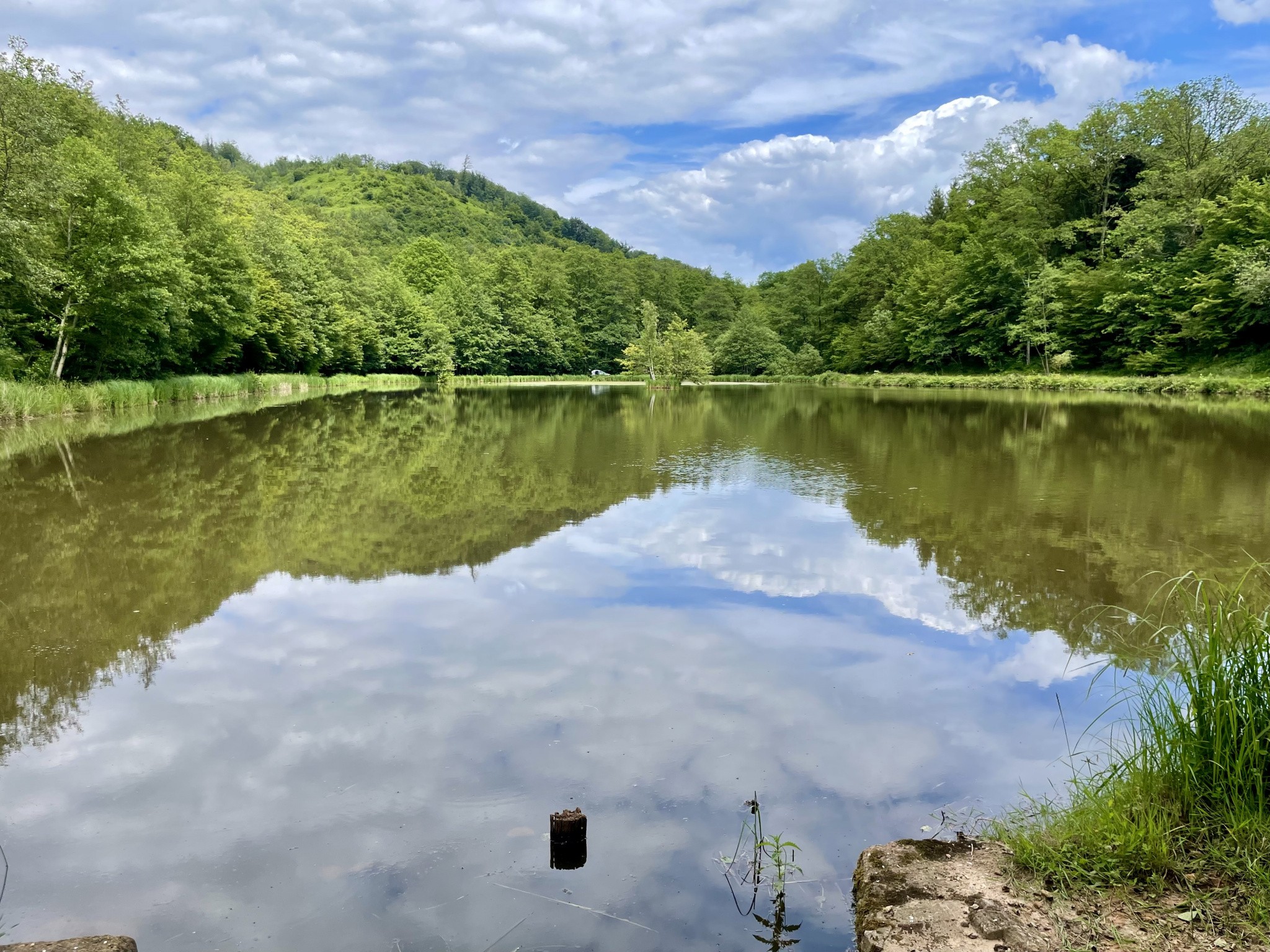 Vente Terrain à Lomont 1 pièce