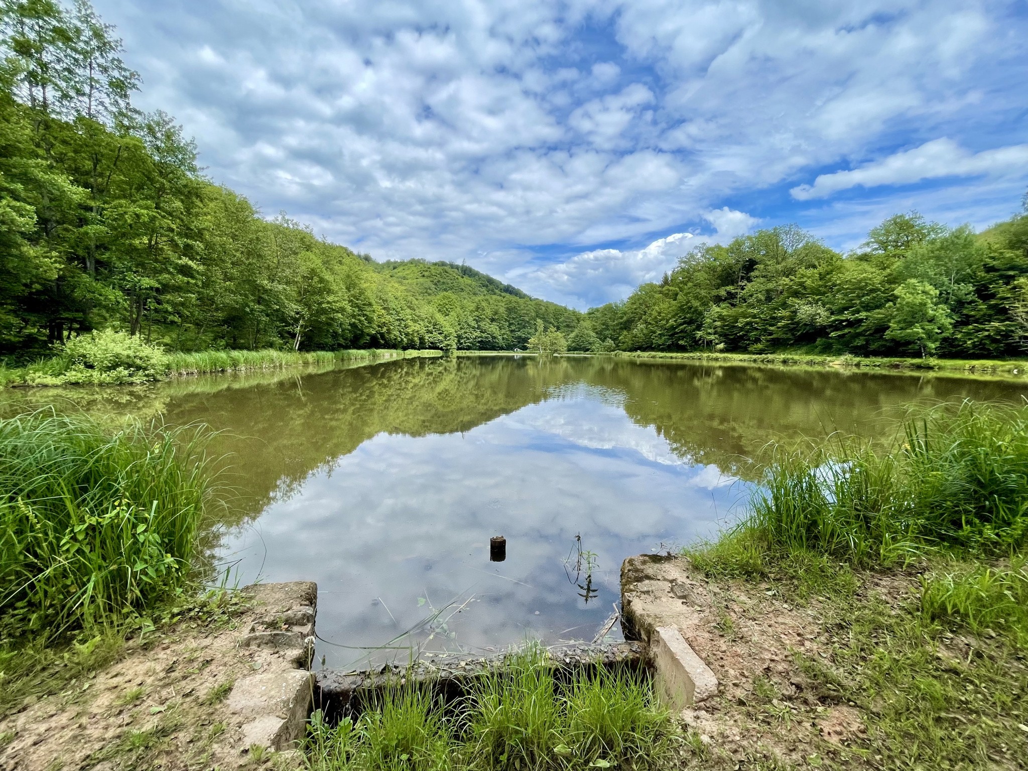 Vente Terrain à Lomont 1 pièce