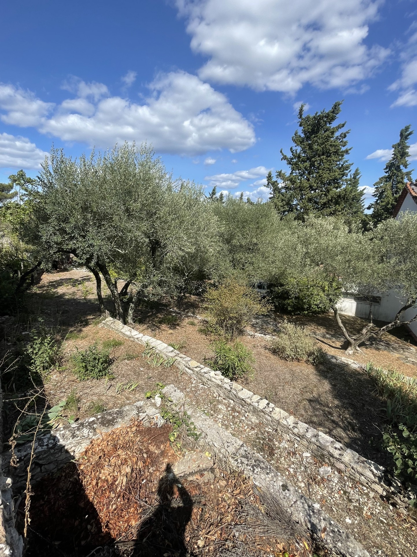 Vente Maison à Nîmes 7 pièces