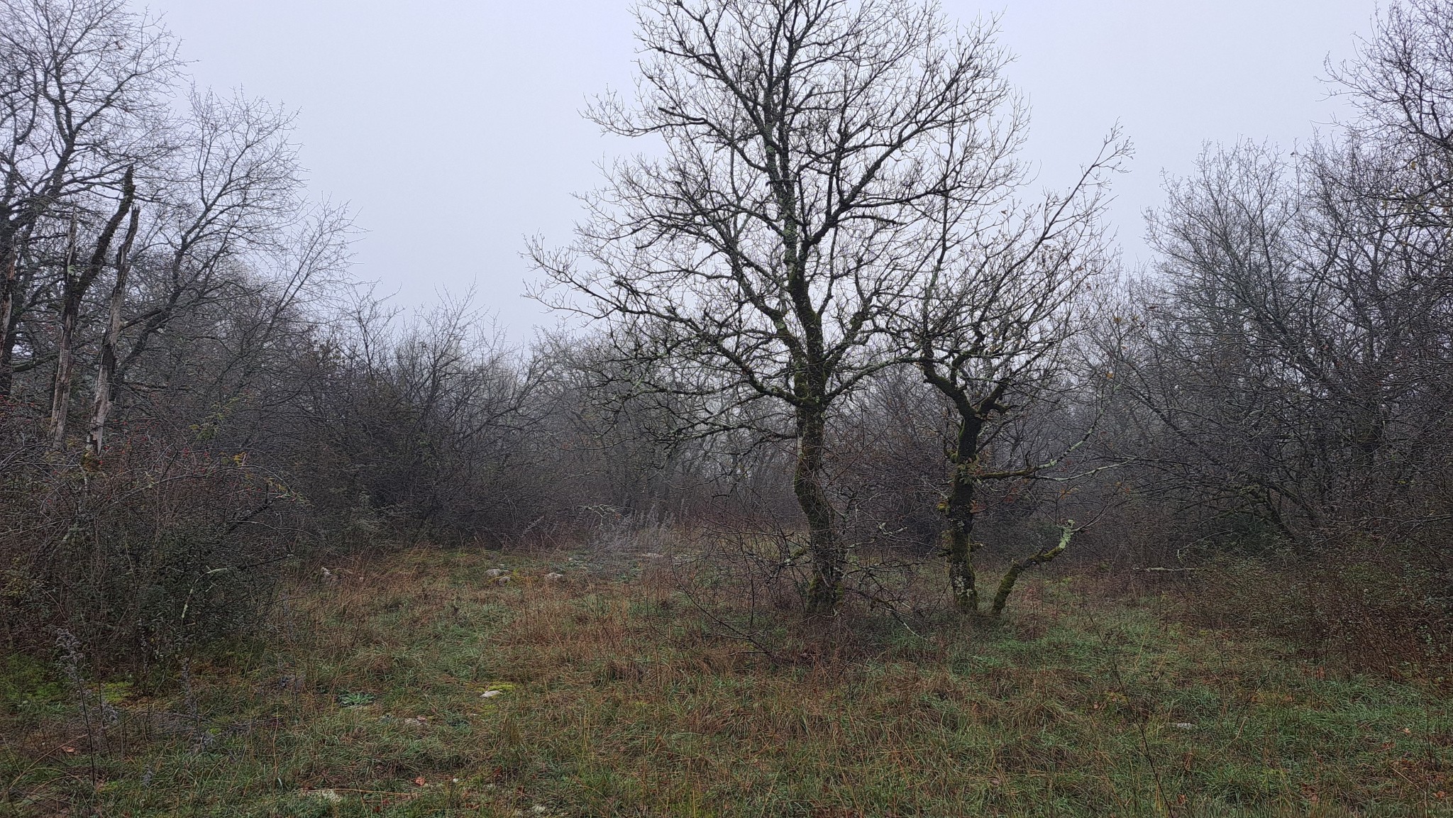 Vente Terrain à Caylus 0 pièce