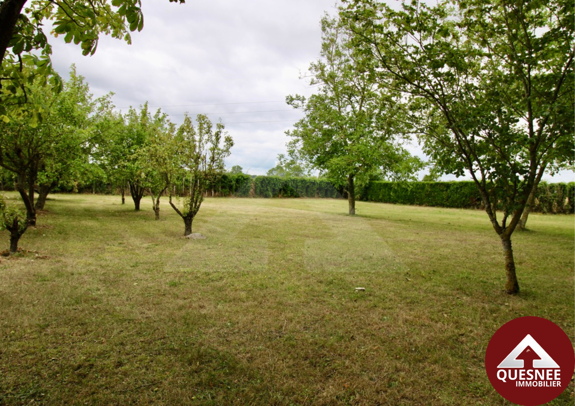 Vente Terrain à Falaise 0 pièce