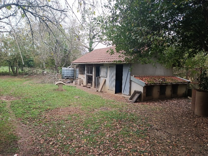 Vente Maison à Bussière-Poitevine 4 pièces