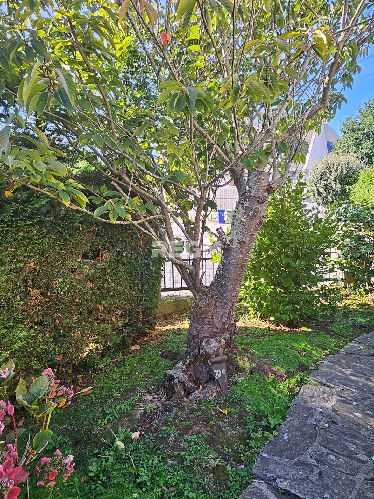 Vente Maison à Saint-Malo 6 pièces