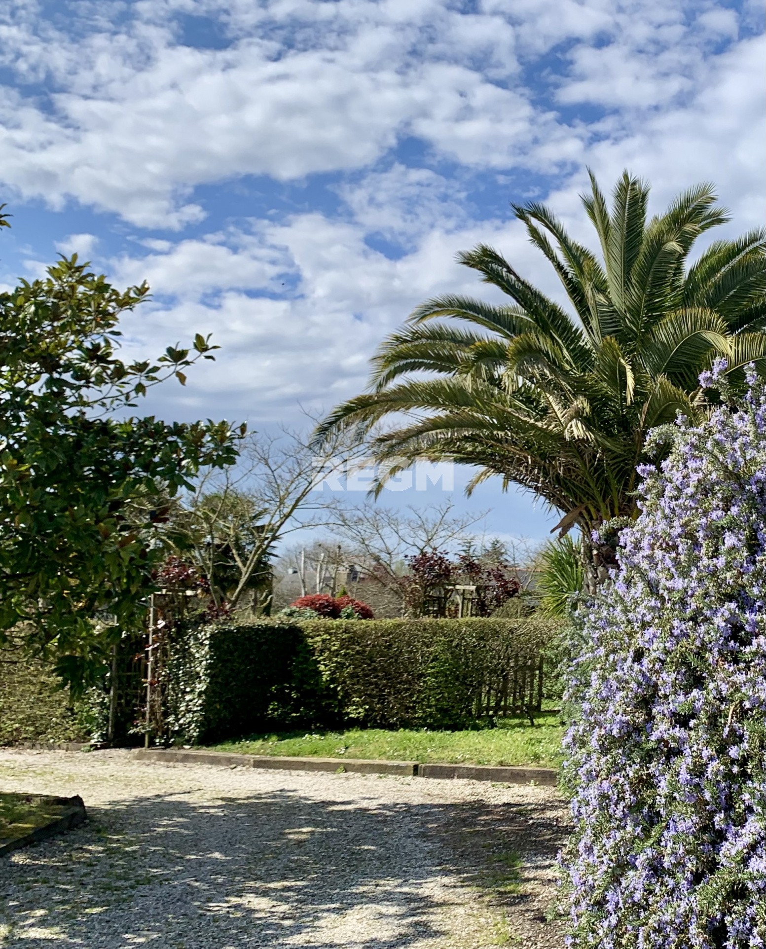 Vente Maison à Dol-de-Bretagne 37 pièces