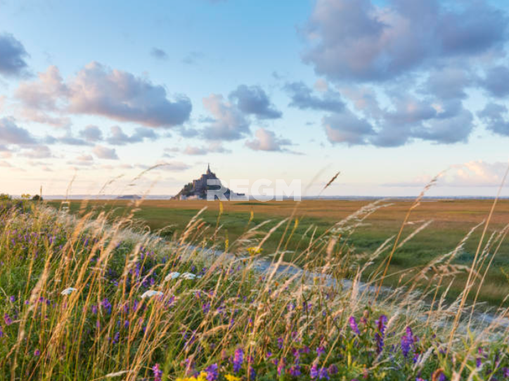 Vente Maison à Dol-de-Bretagne 37 pièces