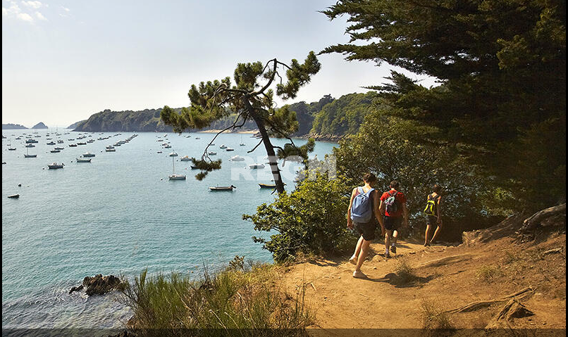 Vente Terrain à Cancale 0 pièce