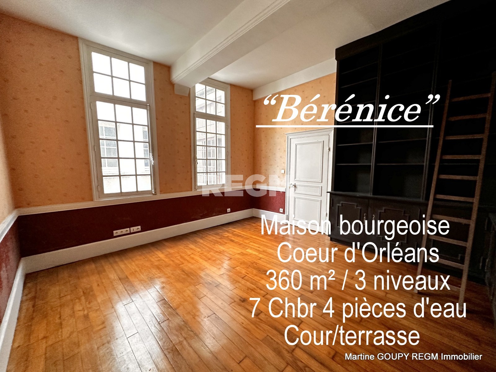 Vente Maison à Orléans 9 pièces