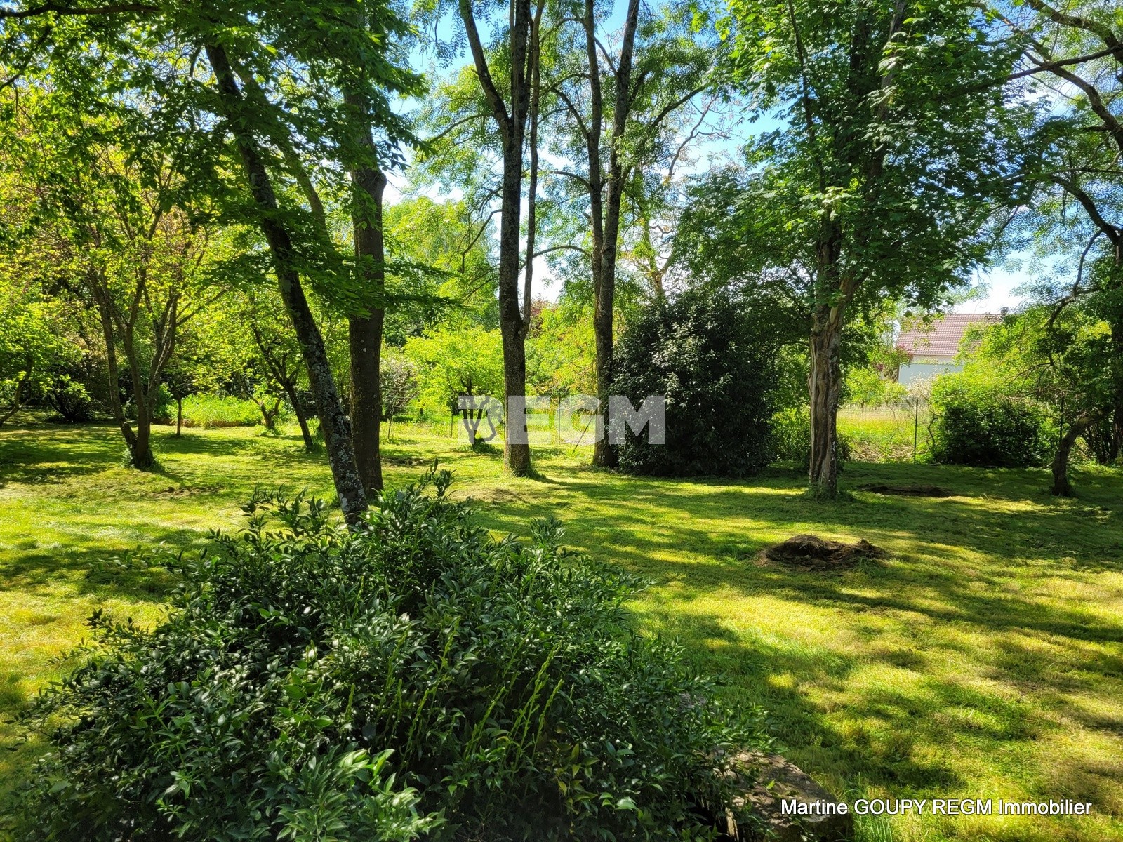 Vente Maison à Ouzouer-le-Marché 11 pièces