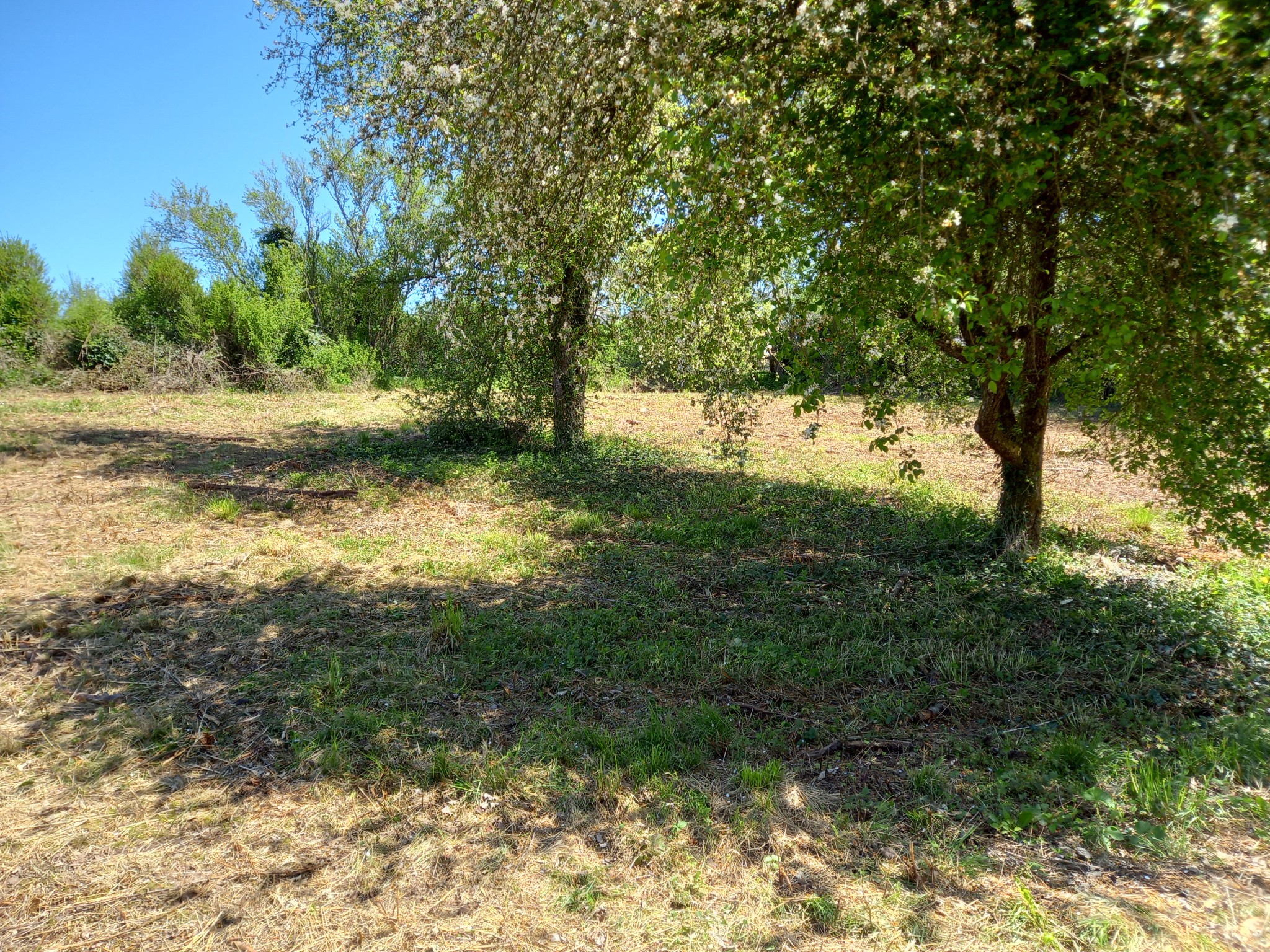 Vente Terrain à Arnay-le-Duc 0 pièce