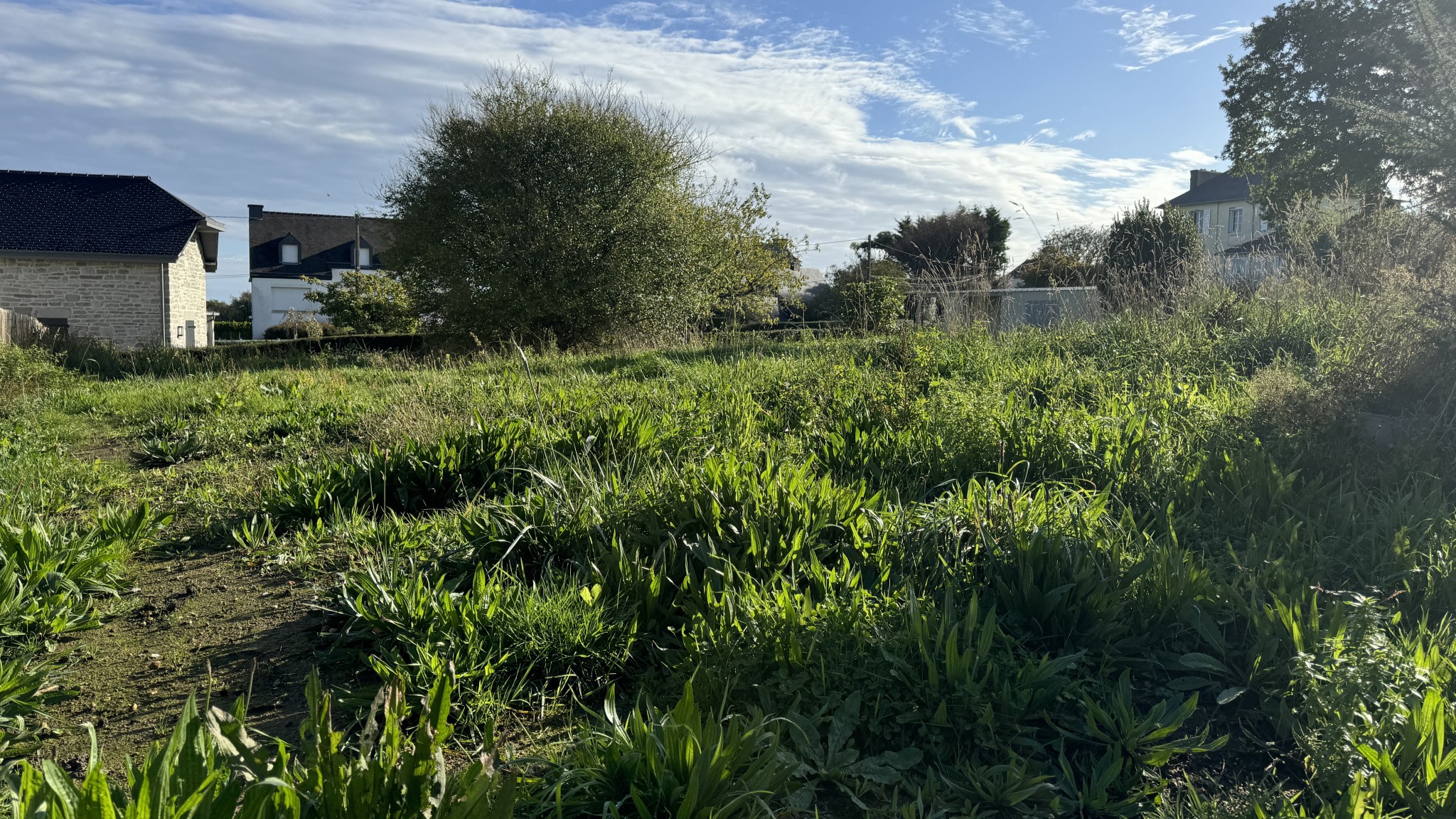 Vente Terrain à Saint-Cast-le-Guildo 0 pièce