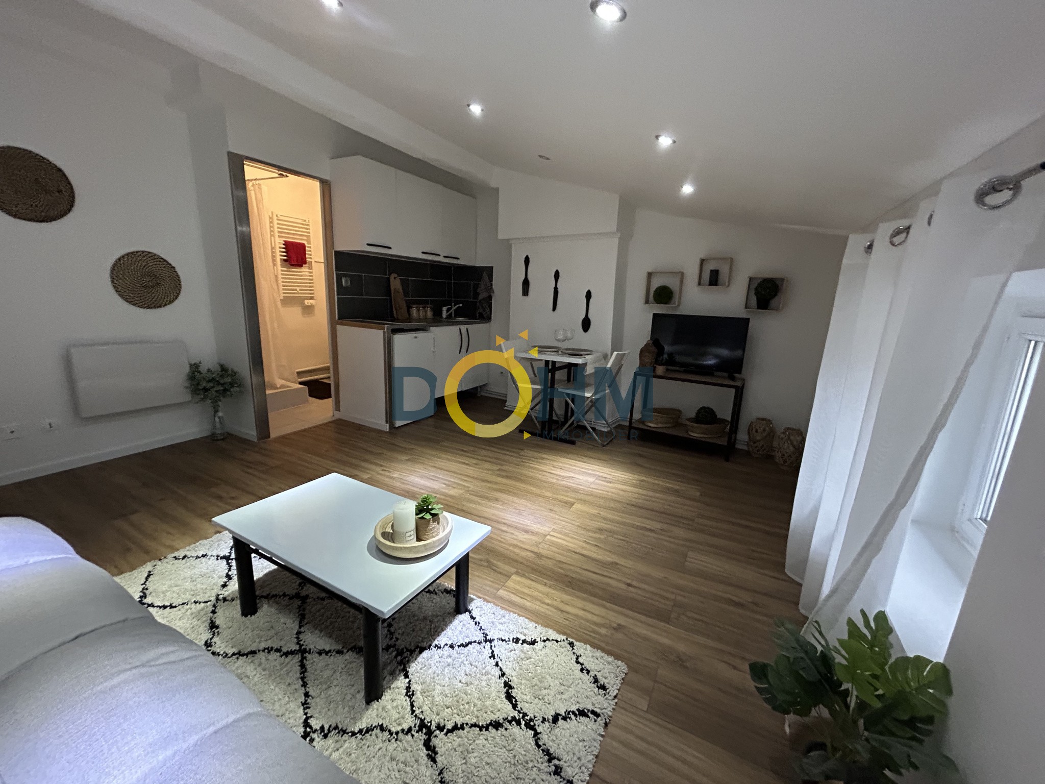 Location Appartement à Saint-Étienne 1 pièce