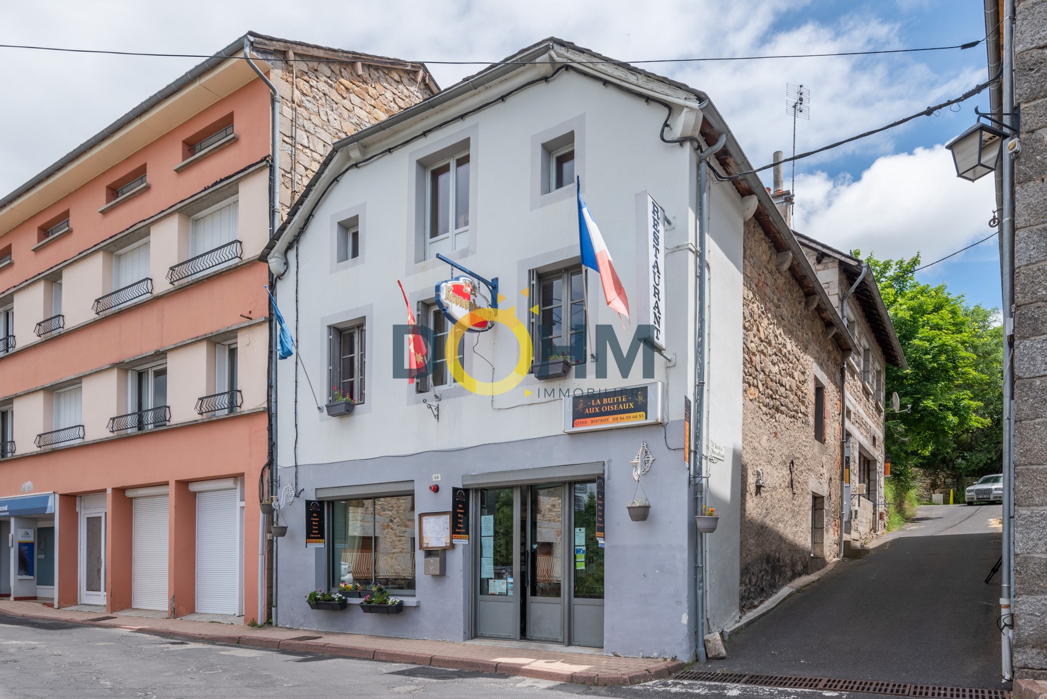 Vente Maison à Saint-Alban-sur-Limagnole 12 pièces