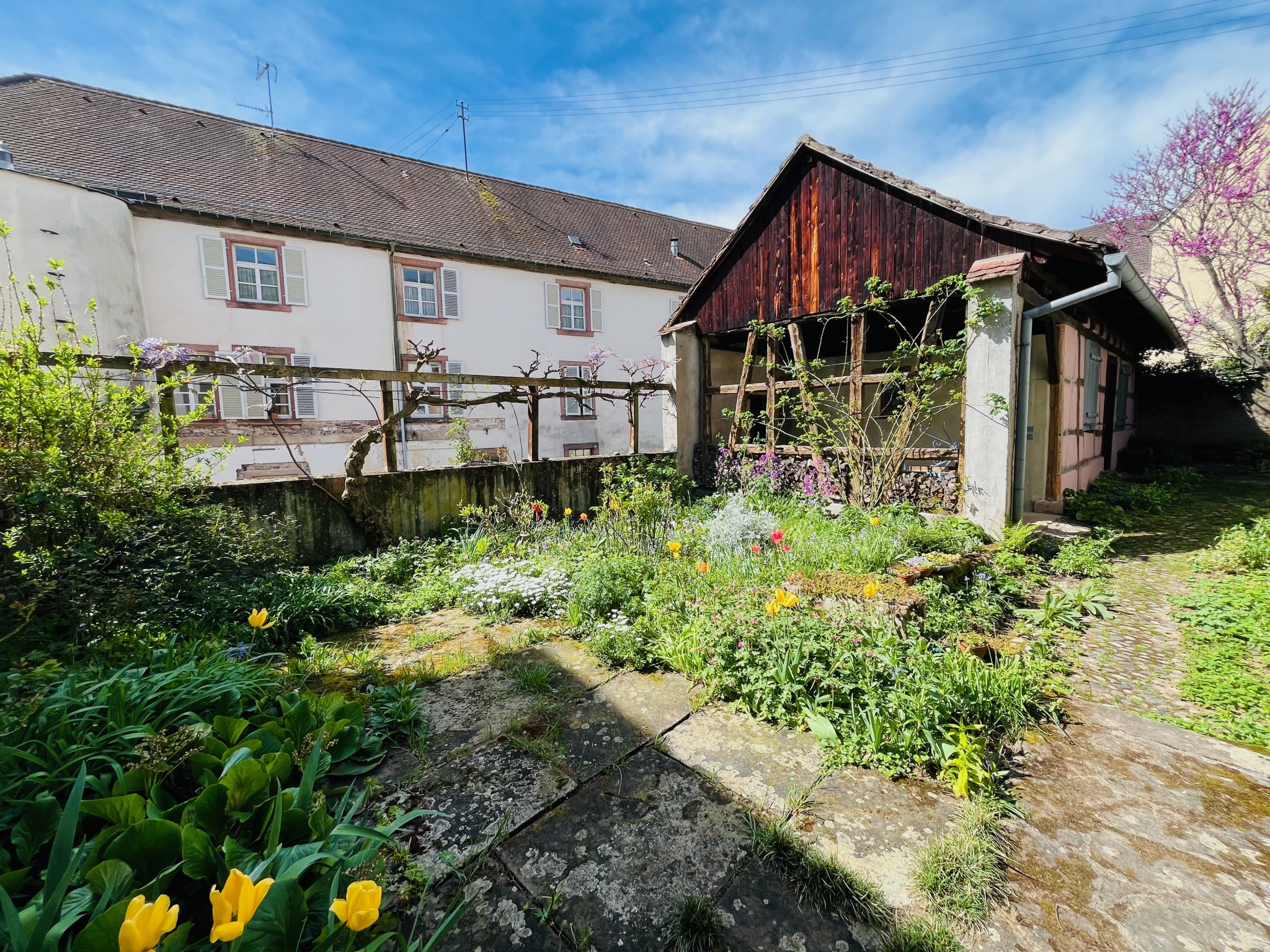 Vente Maison à Ribeauvillé 7 pièces