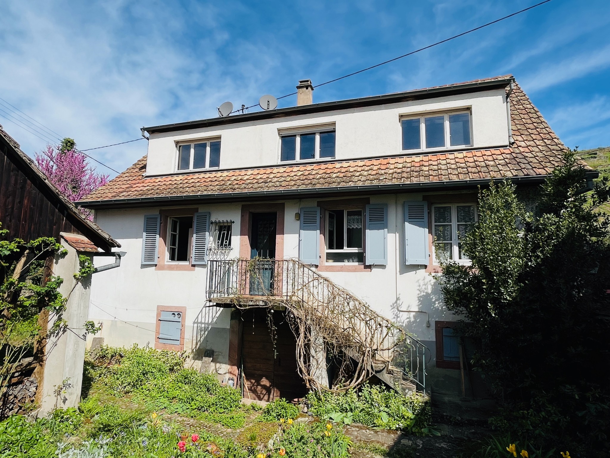 Vente Maison à Ribeauvillé 7 pièces