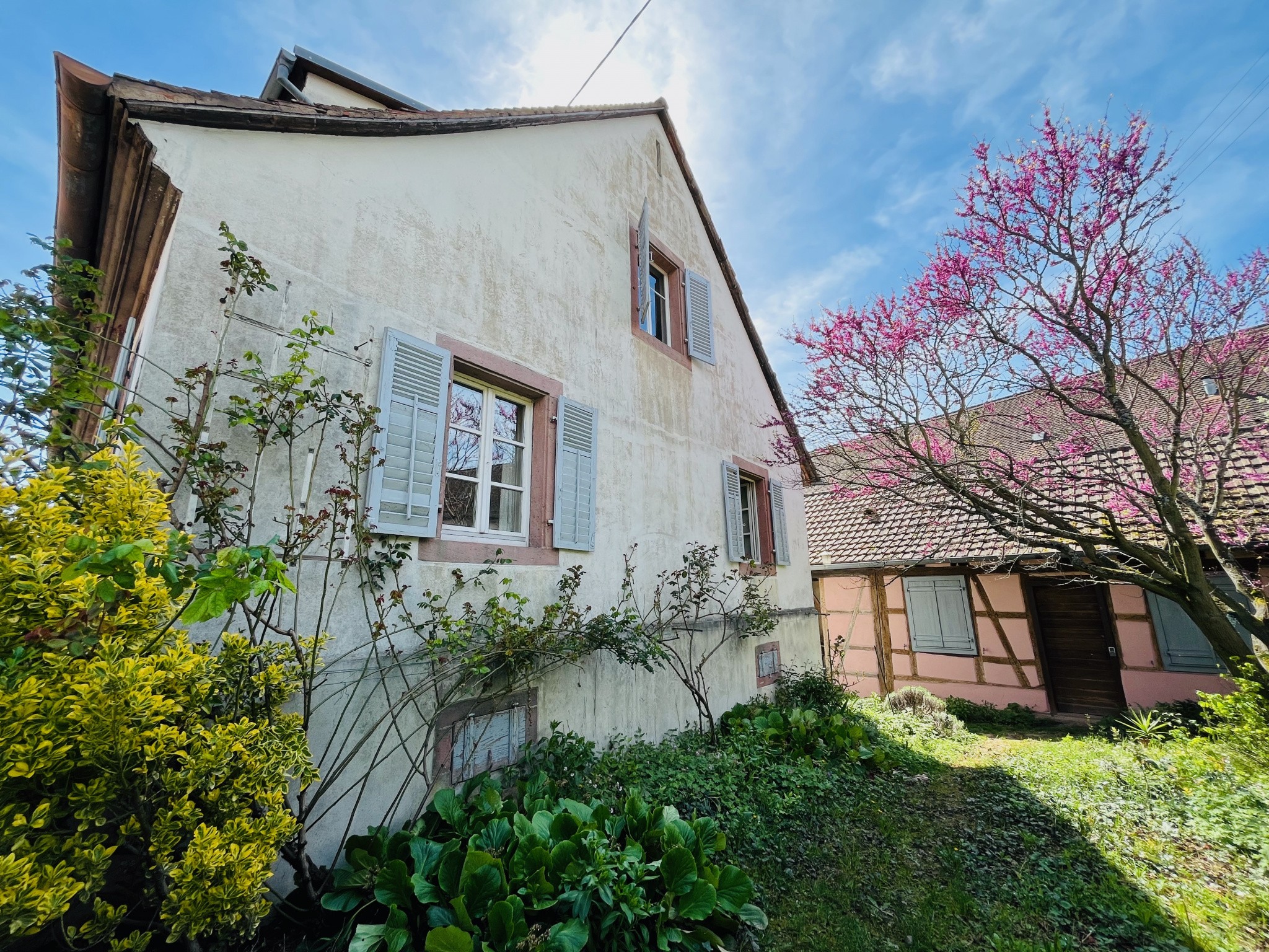 Vente Maison à Ribeauvillé 7 pièces