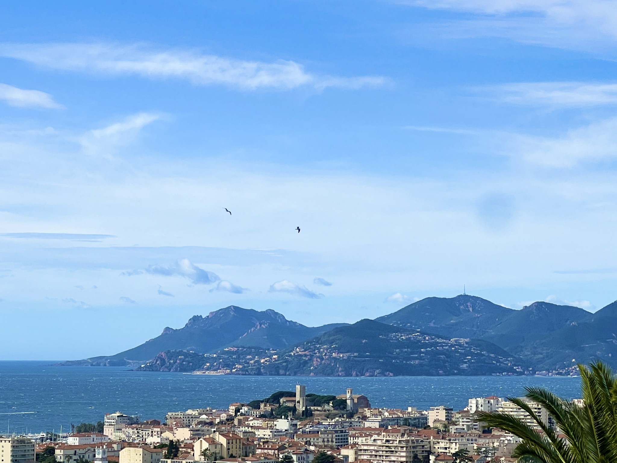 Vente Maison à Cannes 7 pièces