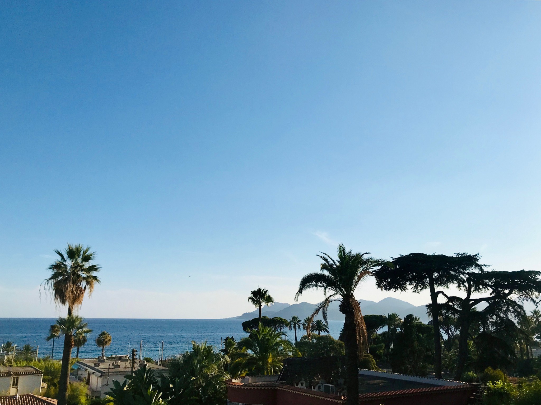 Vente Appartement à Cannes 8 pièces