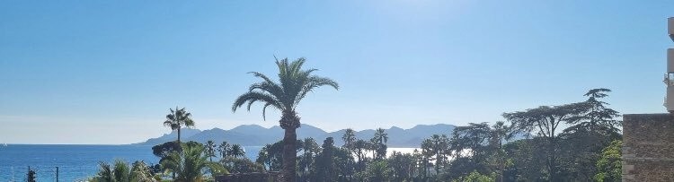 Vente Appartement à Cannes 8 pièces